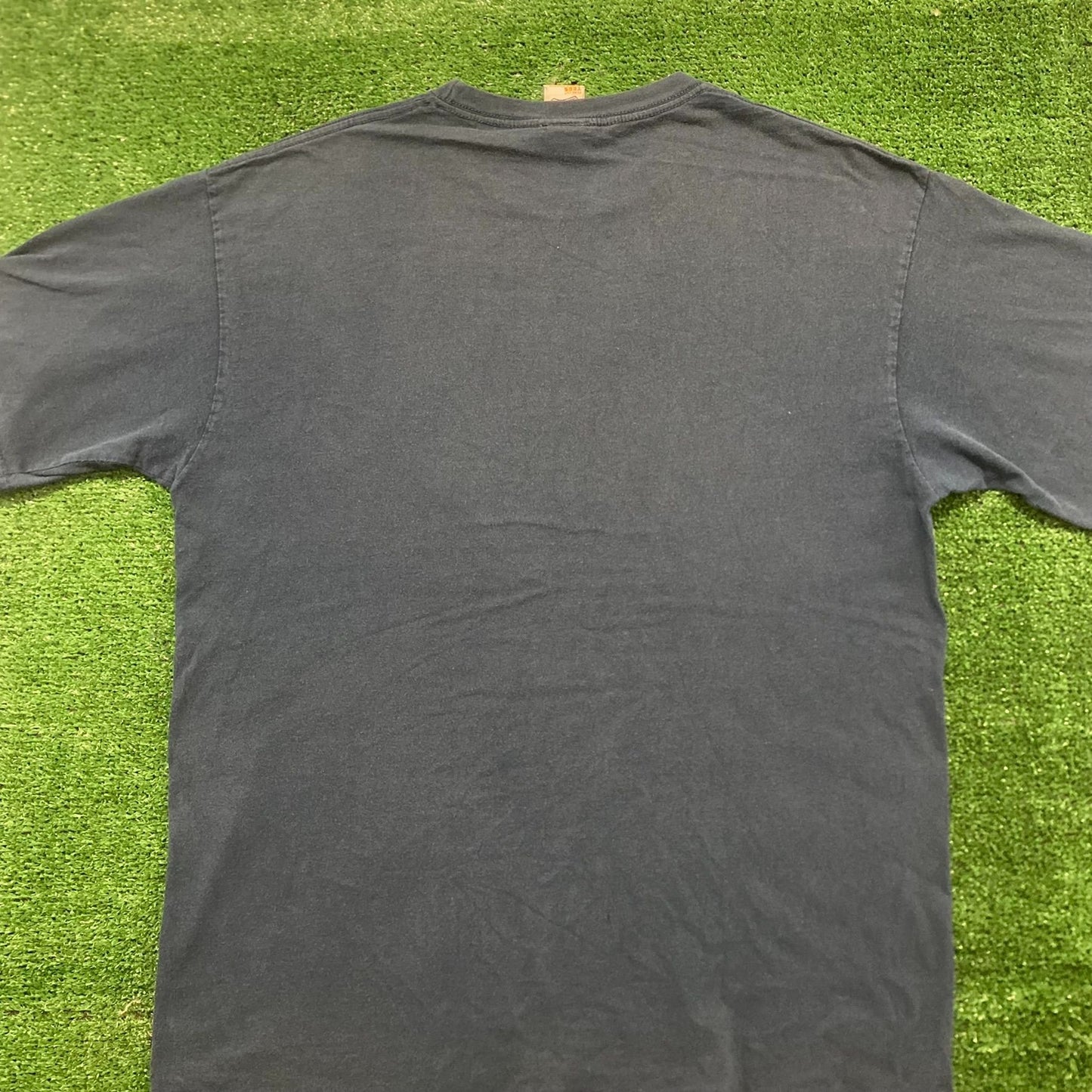 Vintage Y2K Dirty Water Quote Sun Faded Funny Baggy Tee