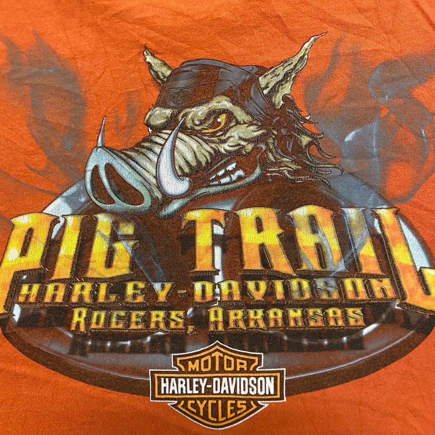 Vintage Y2K Harley-Davidson Wings Essential Biker T-Shirt