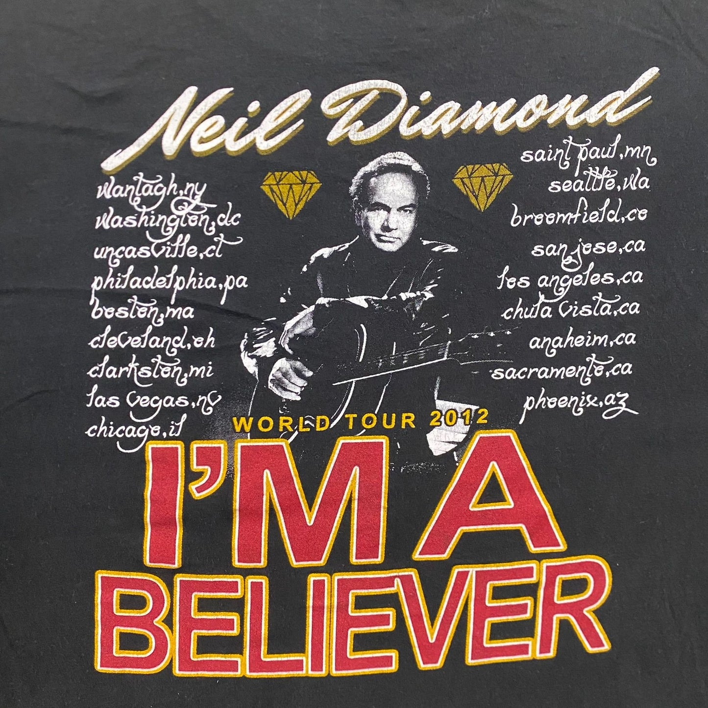 Vintage Y2K Neil Diamond Believer Essential Rock Band Tee