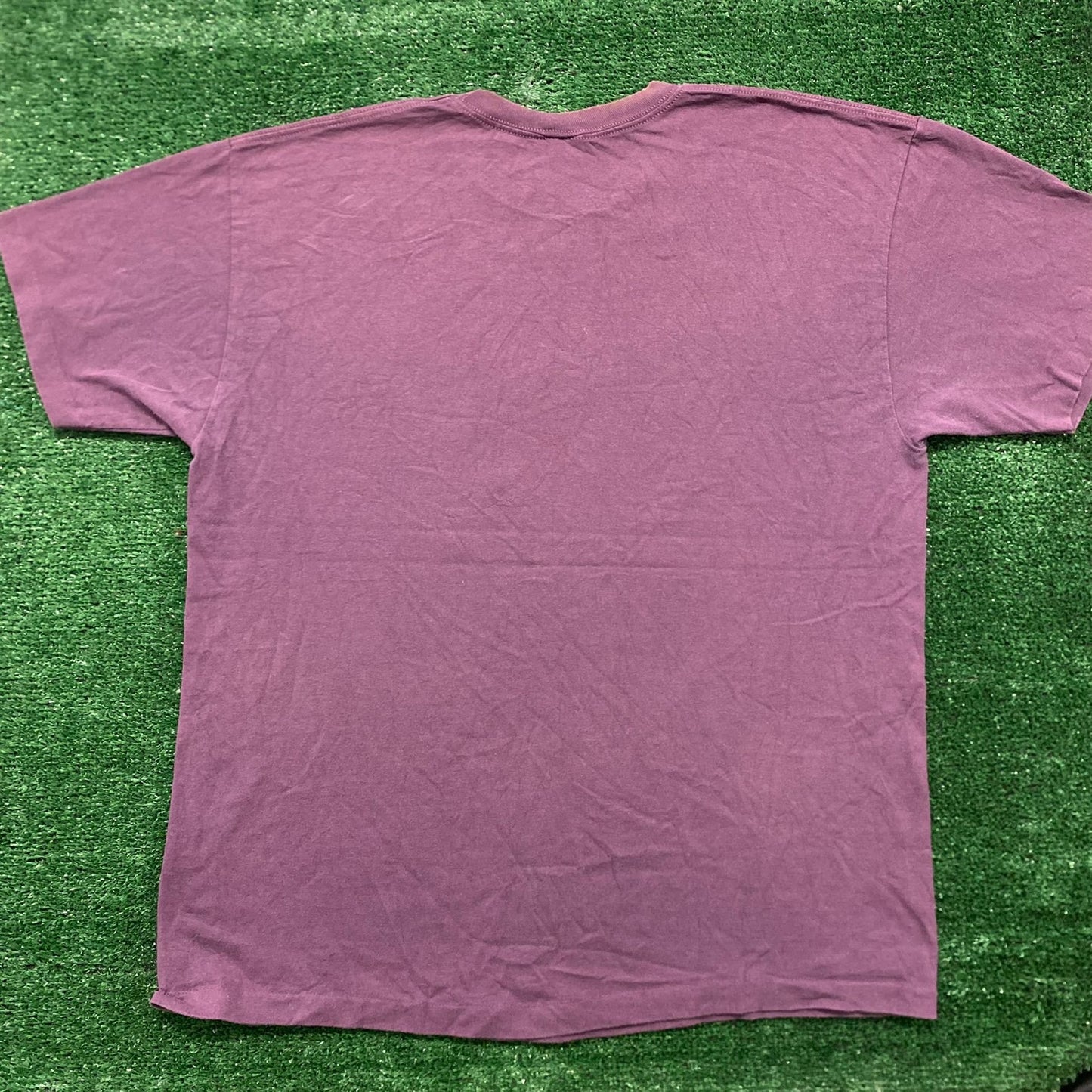 Vintage 90s Baggy Alaska Nature Single Stitch T-Shirt