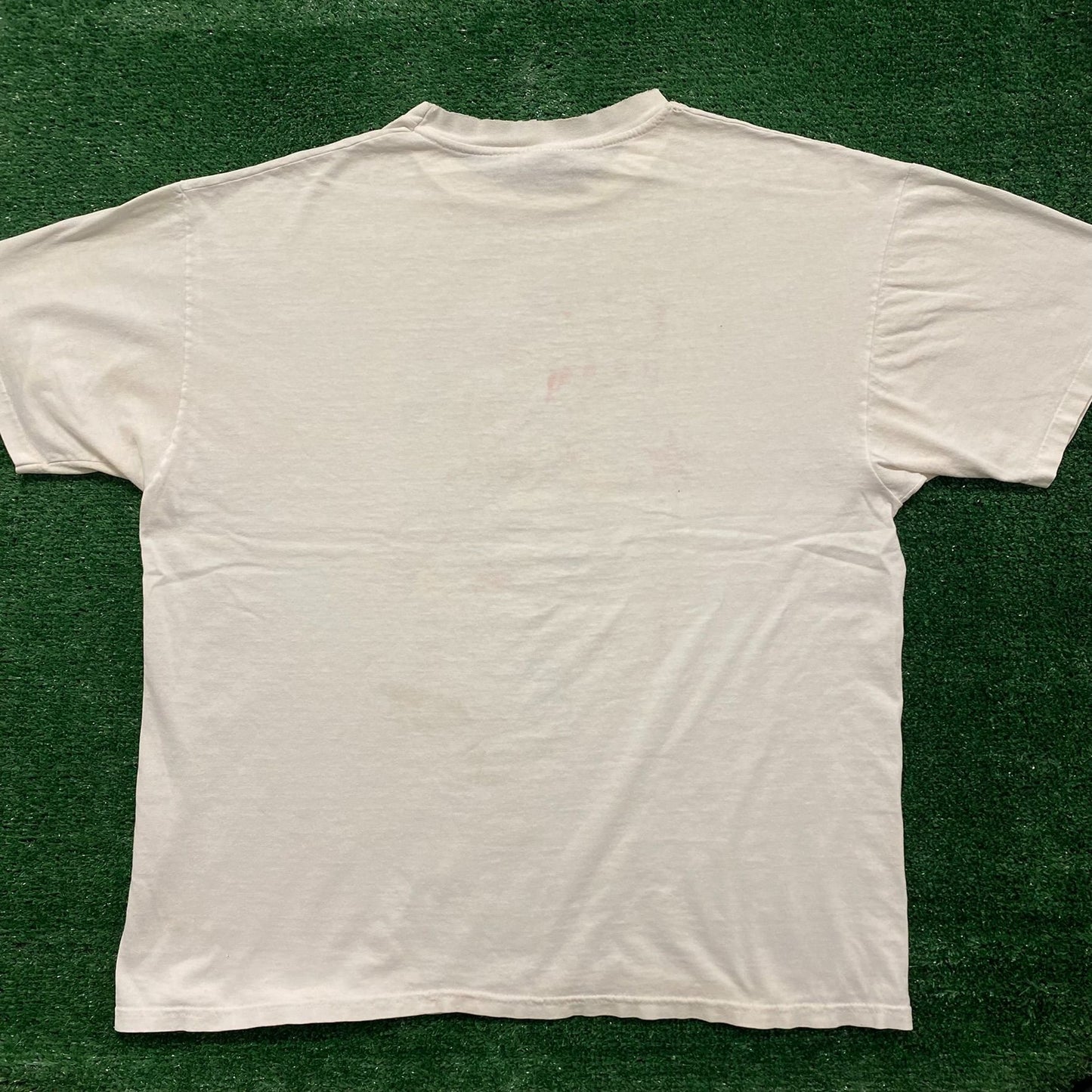 Vintage 90s Olympics Luge Team USA Single Stitch Sports Tee