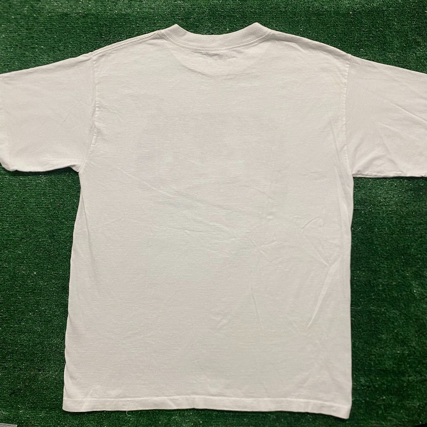 Vintage 90s Costa Rice Turtles Shirt Single Stitch Nature Tee