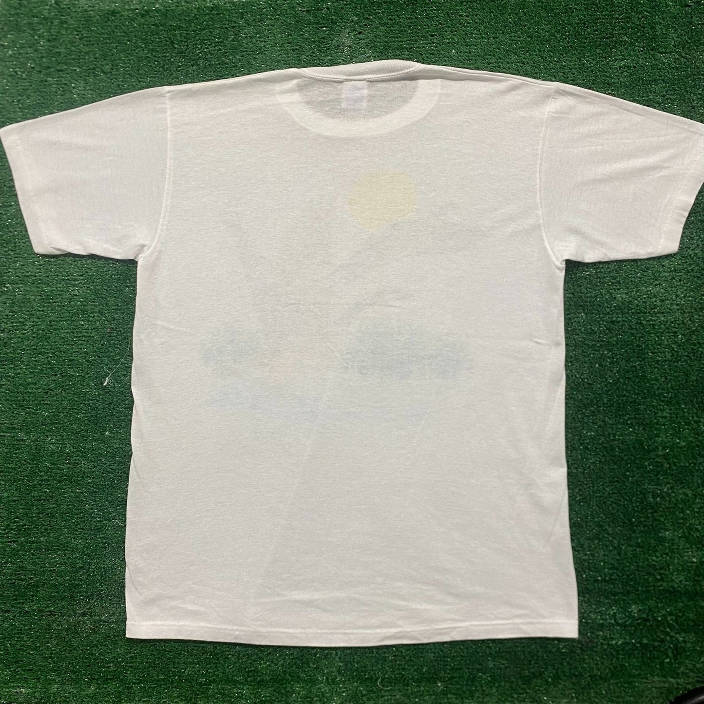 Vintage 80s Nature Art Landscape Essential Single Stitch Tee