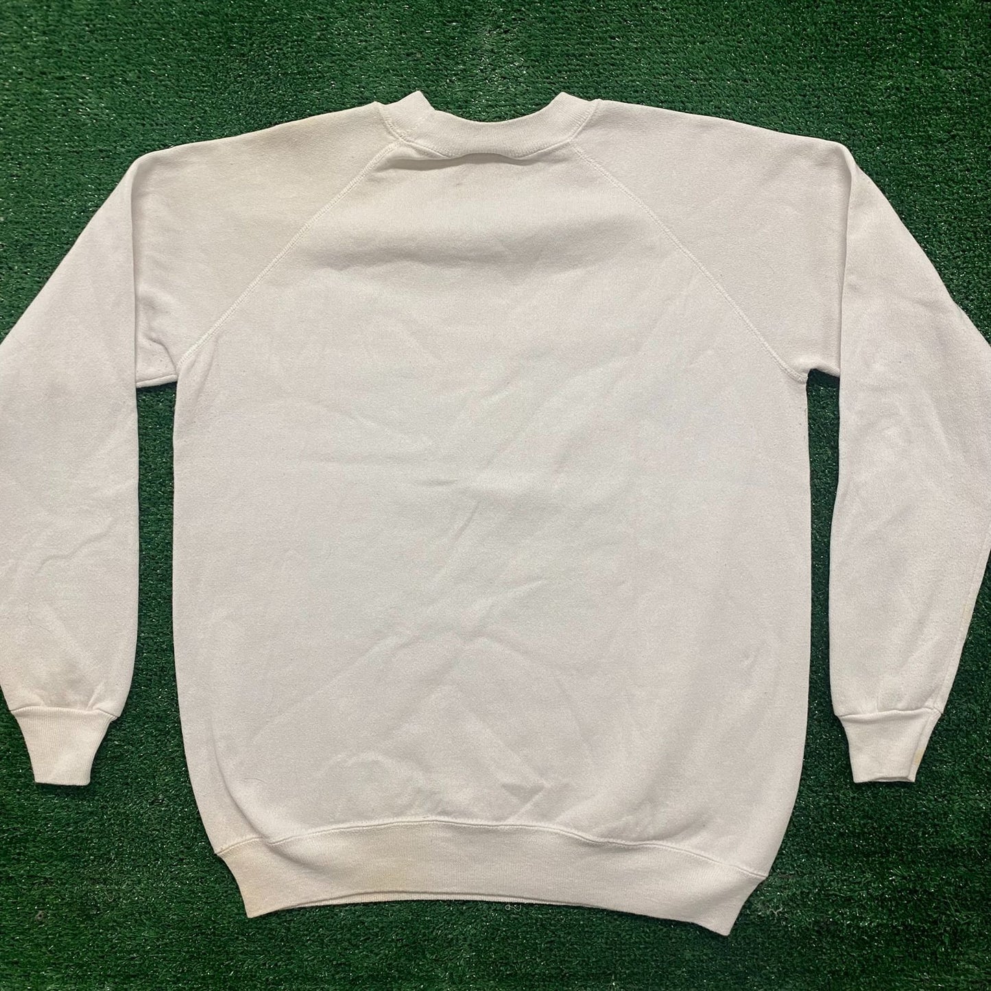 Vintage 90s Florida Dolphins Nature Crewneck Sweatshirt