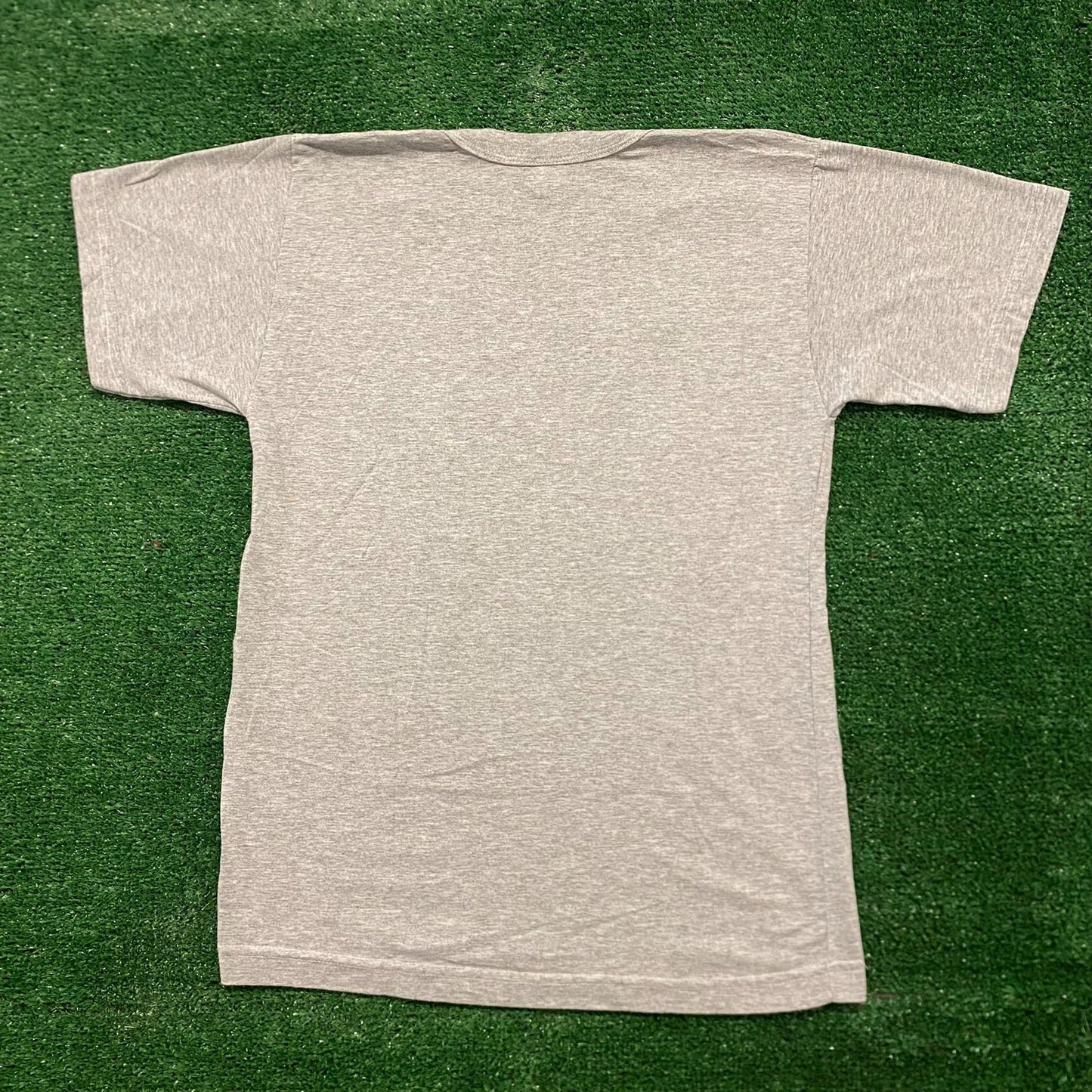 Vintage Y2K Essential Israel Flag Tourist T-Shirt