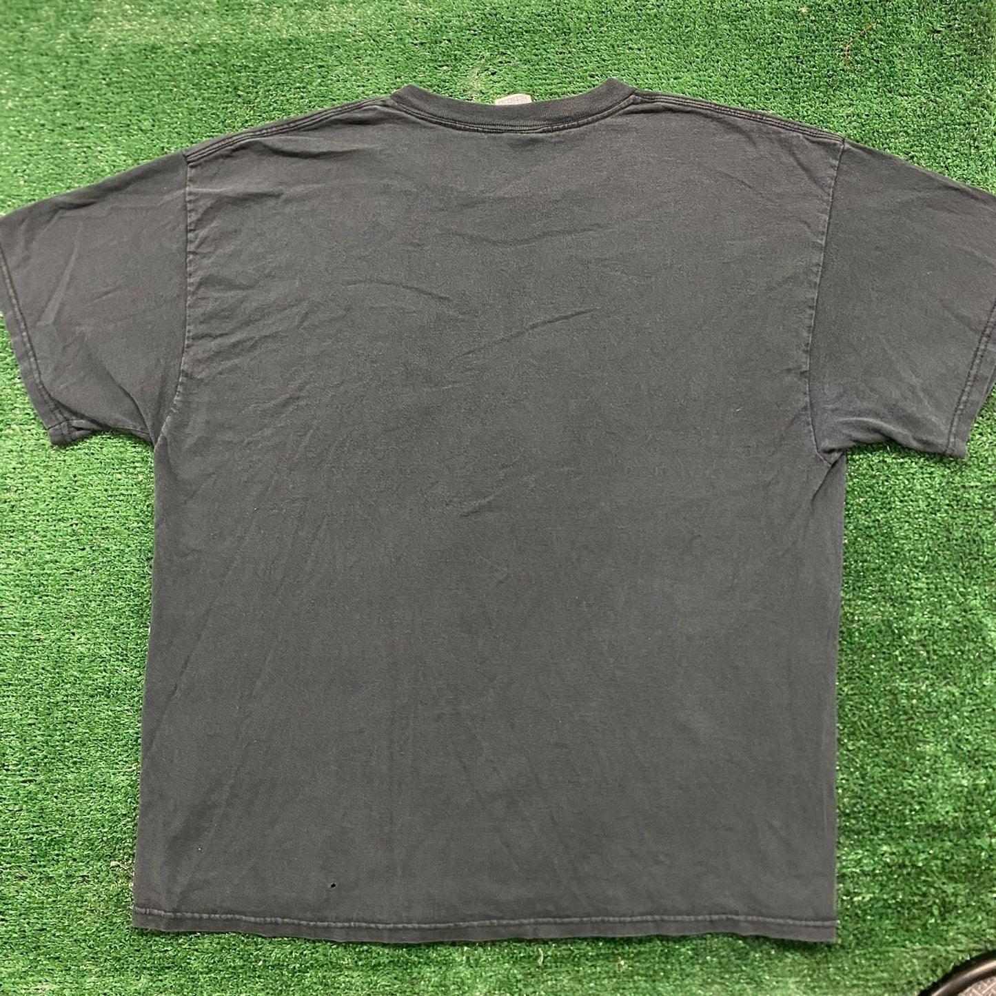 Vintage Y2K ThunderCats Logo Essential Sun Faded Baggy Tee