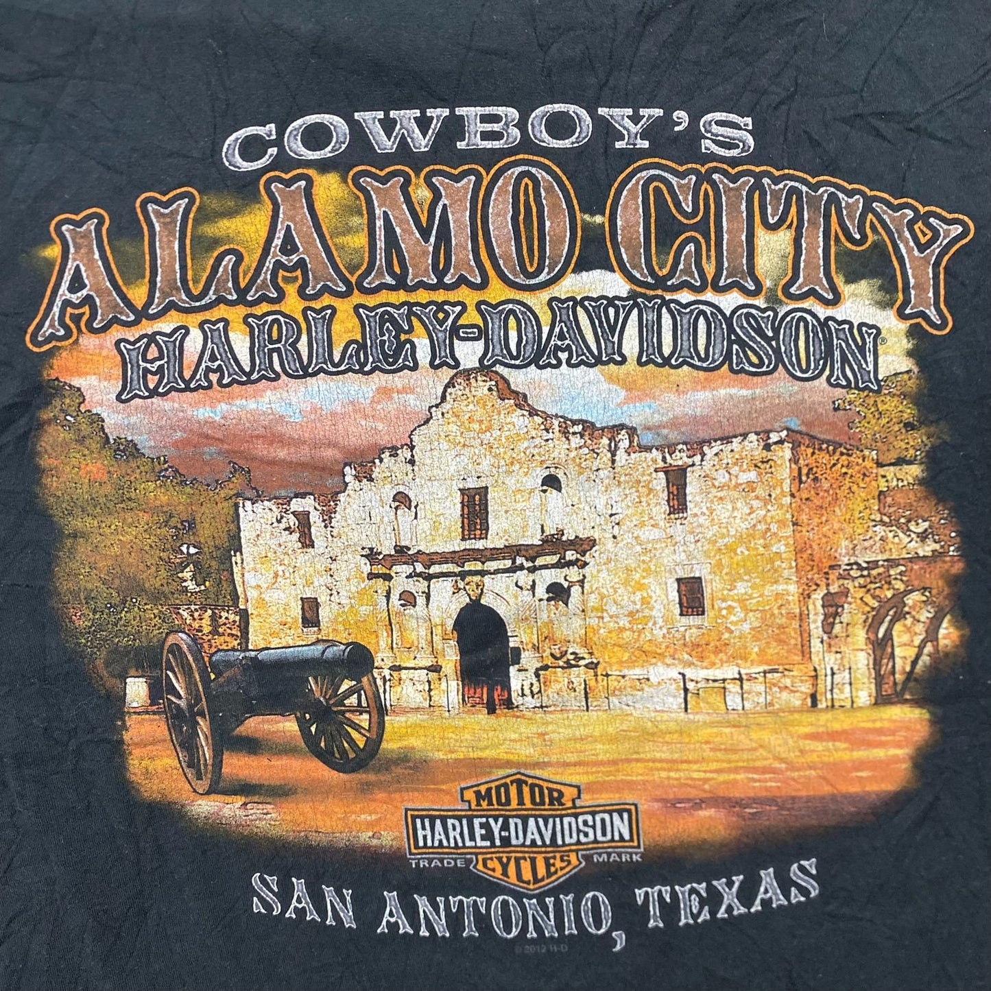 Vintage Y2K Harley Davidson Texas Sun Faded Punk Biker Tee