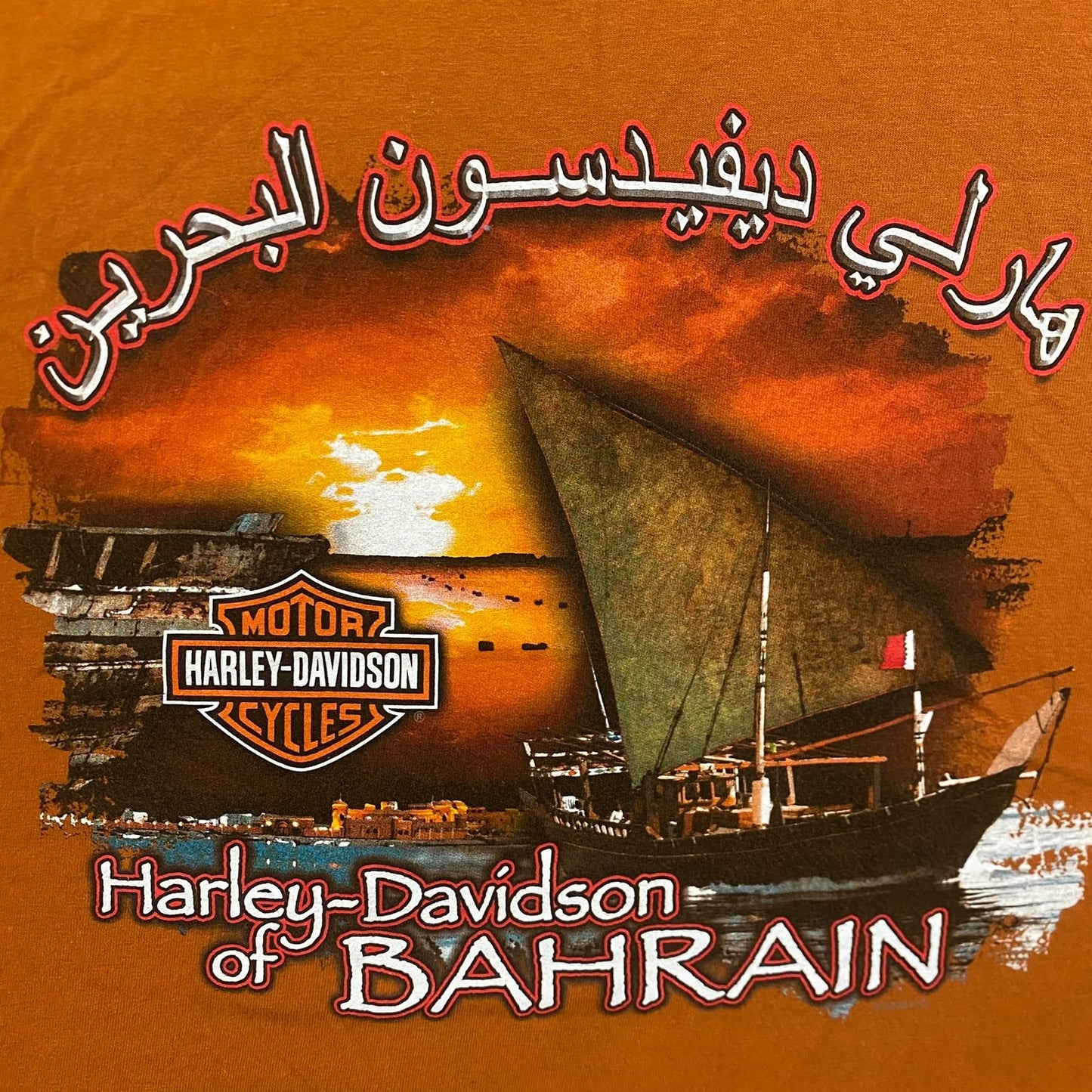 Vintage Y2K Harley Davidson Skull Essential Punk Biker Tee