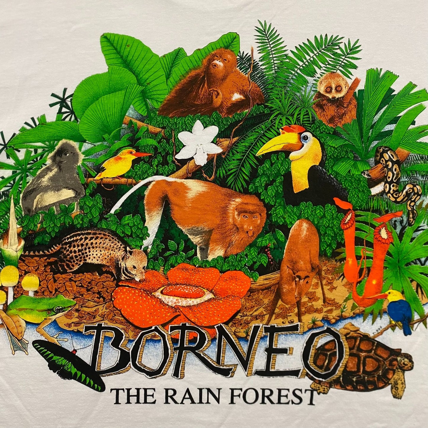 Vintage 90s Borneo Nature Animal Shirt Jungle Rainforest Tee