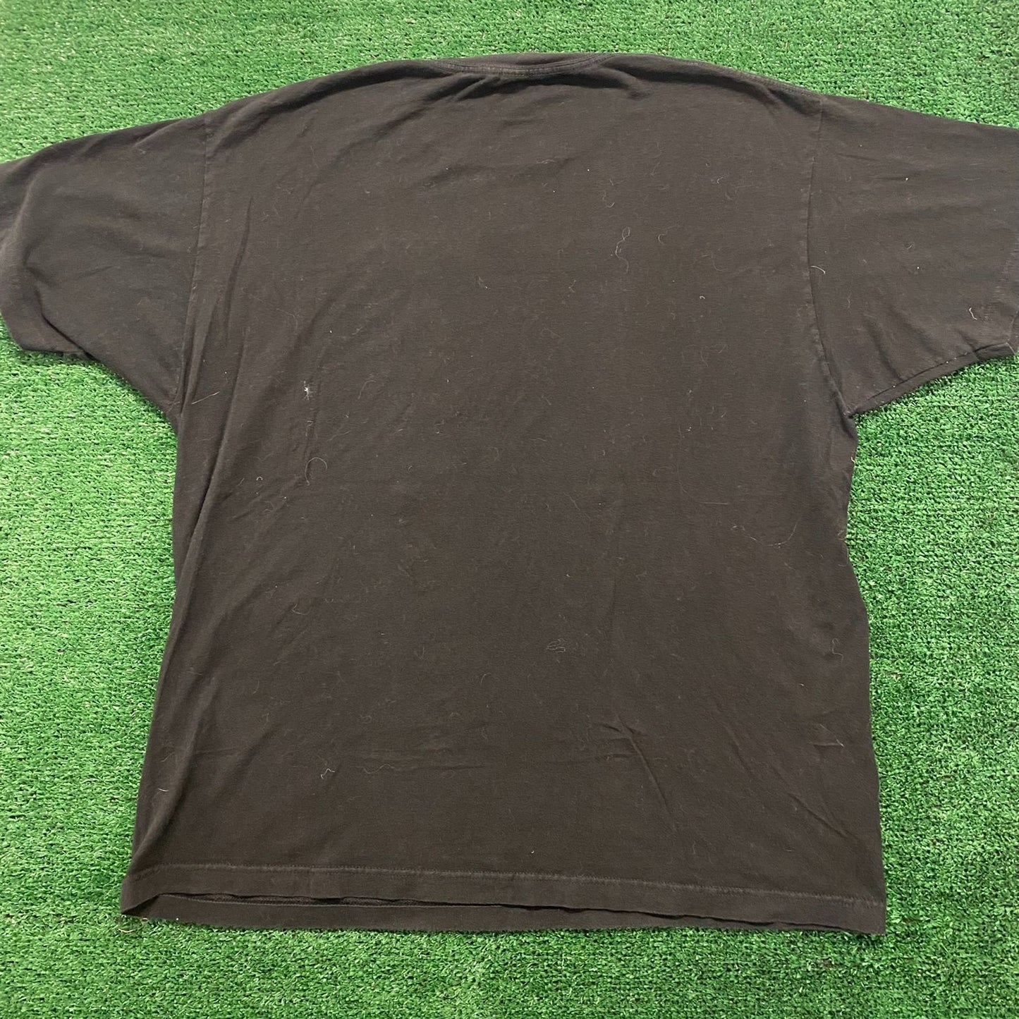 Panic at the Disco Vintage Band T-Shirt