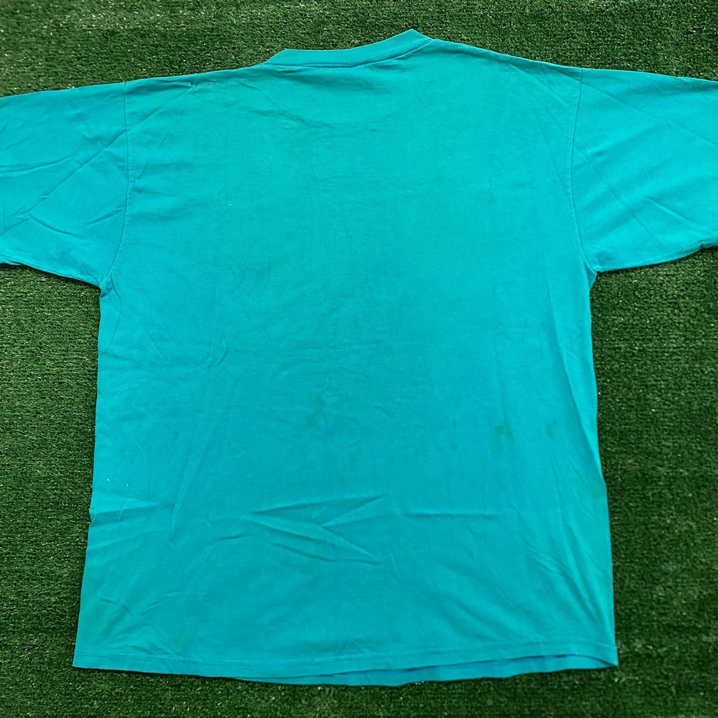 Charlotte Hornets Vintage 90s NBA T-Shirt