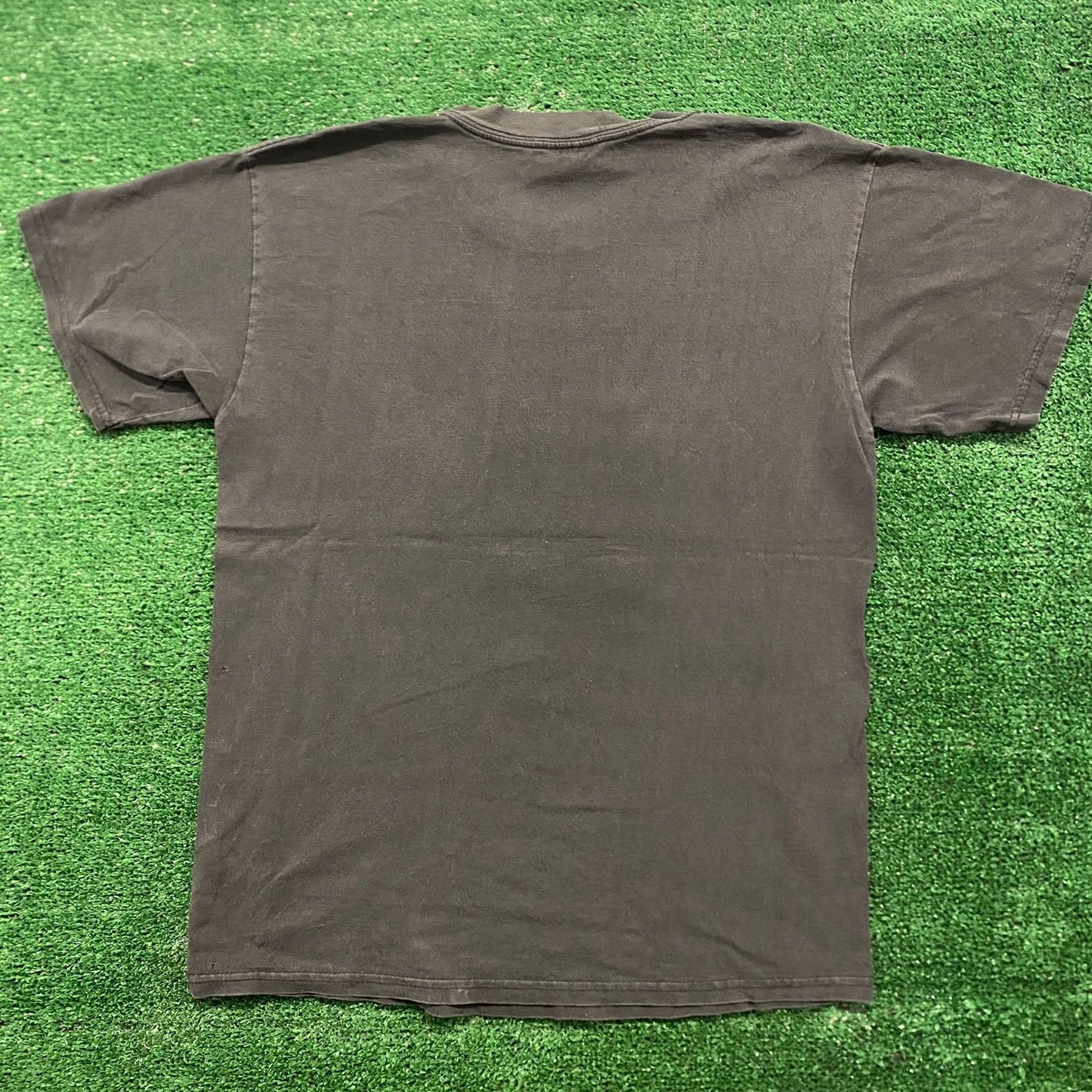 Myrtle Beach Pelicans Vintage Minor League Sports T-Shirt