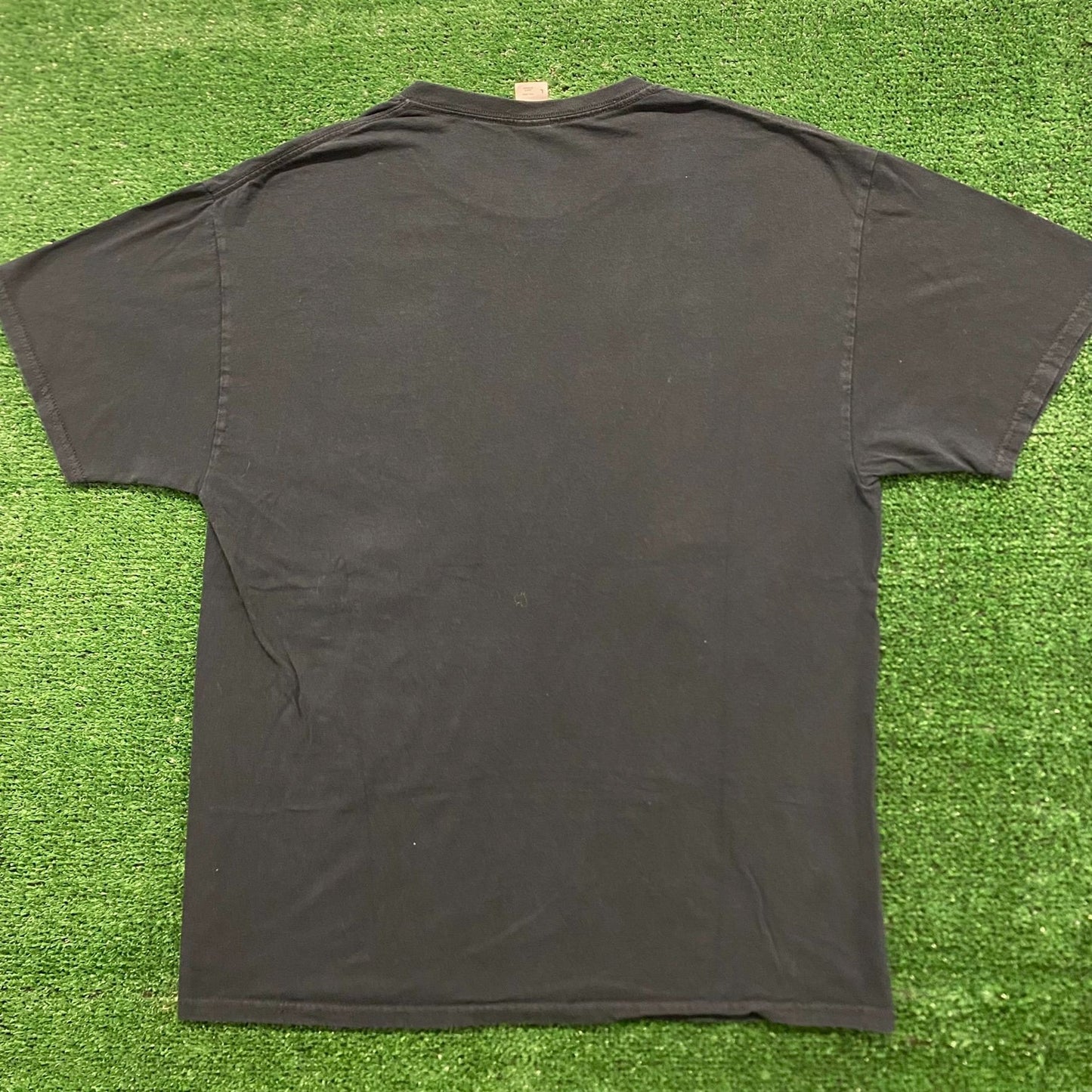 Thunder Eagles Vintage Western Nature Animal T-Shirt