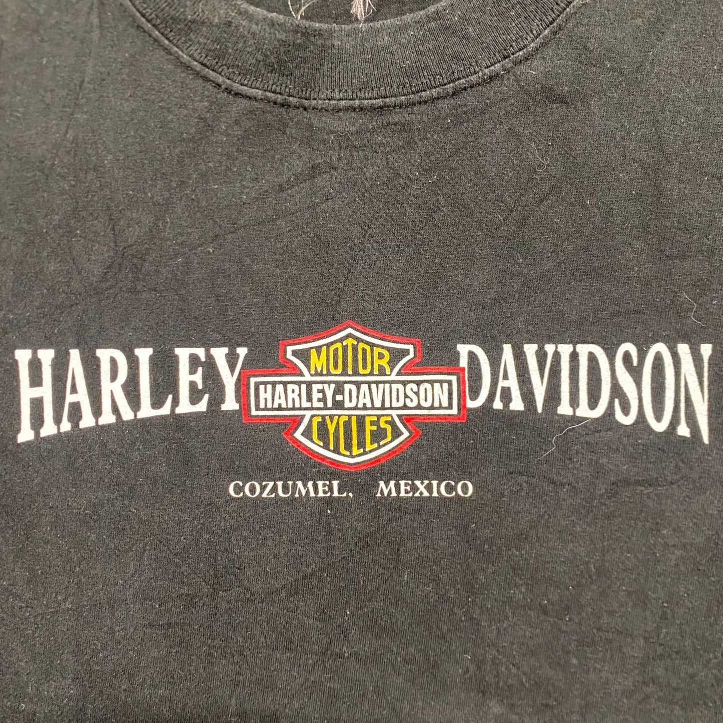 Vintage 90s Harley Davidson Cozumel Sun Faded Baggy Tee