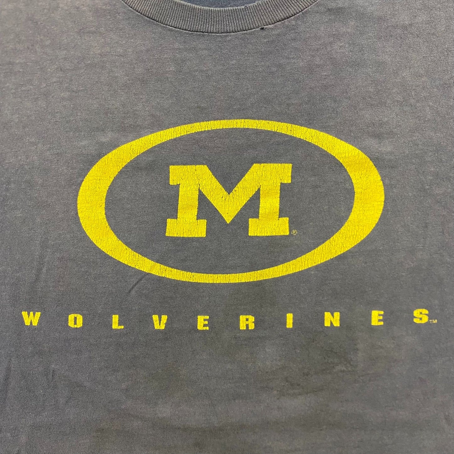 Vintage 90s Nike Michigan Wolverines Shirt College Sports Tee