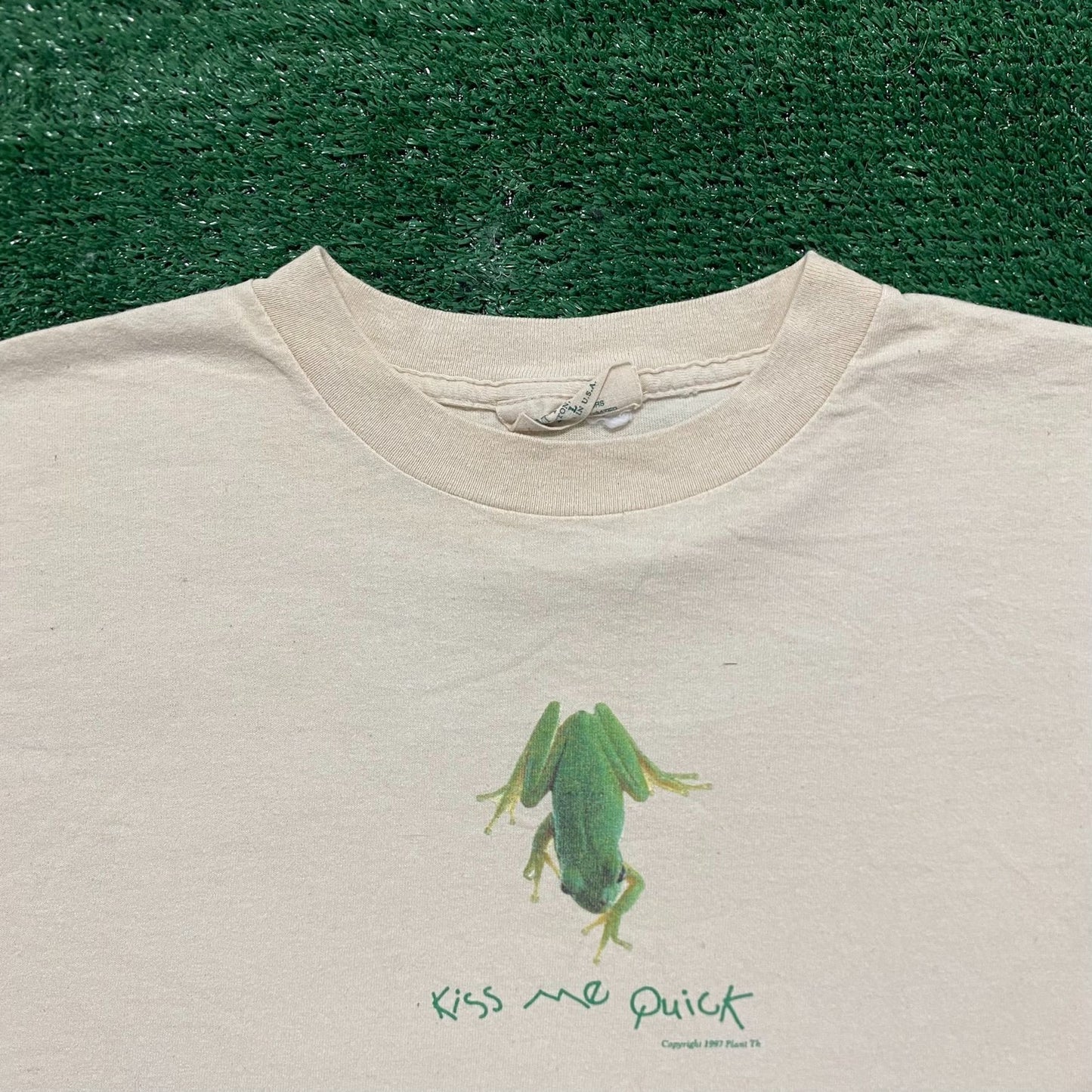 Vintage 90s Kiss Me Frog Nature Animals Humor T-Shirt