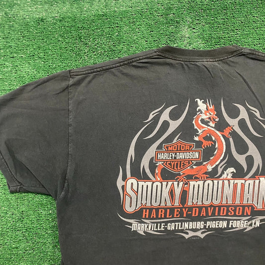 Vintage Y2K Sun Faded Harley Davidson Flame Dragon T-Shirt