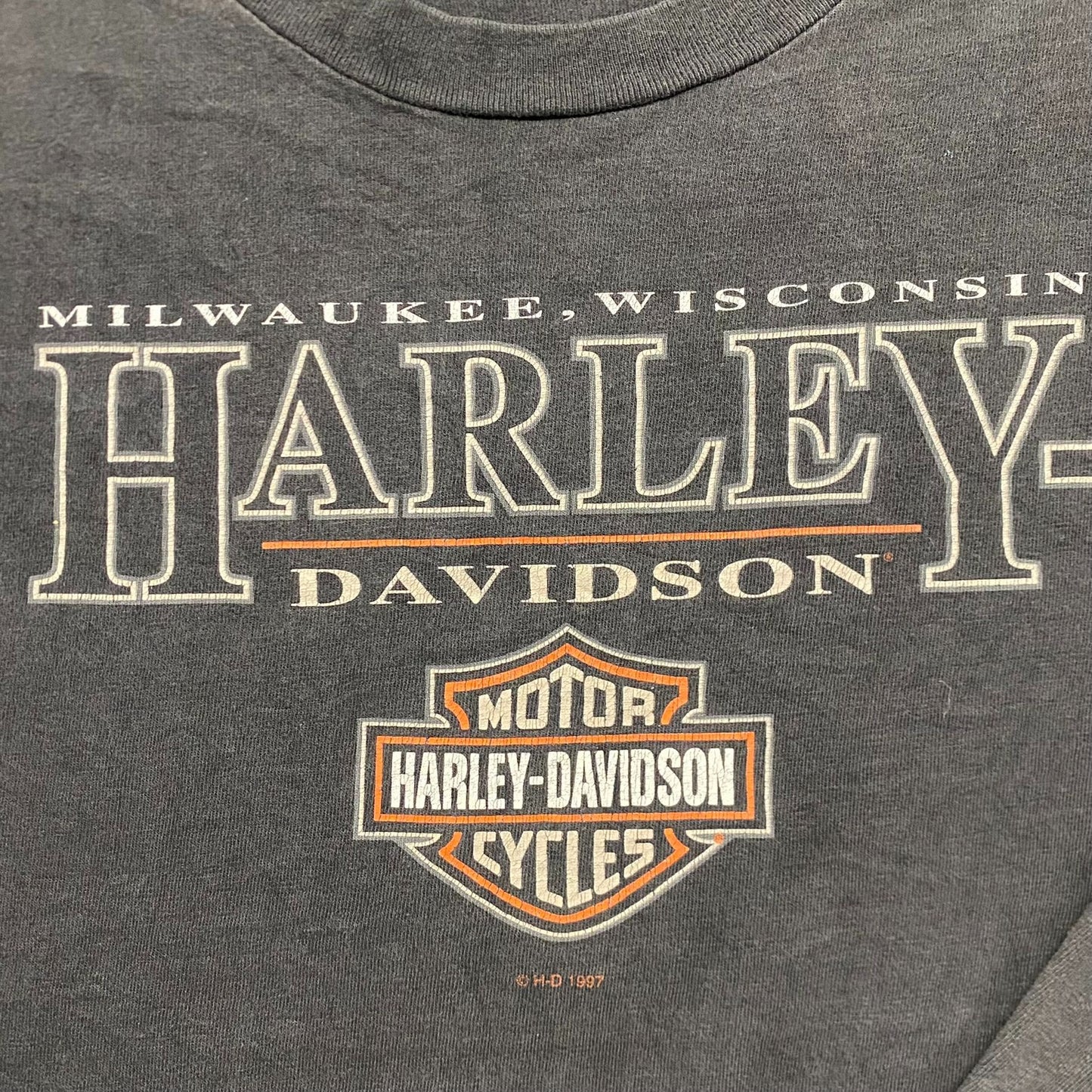 Vintage Y2K Sun Faded Essential Harley Davidson T-Shirt