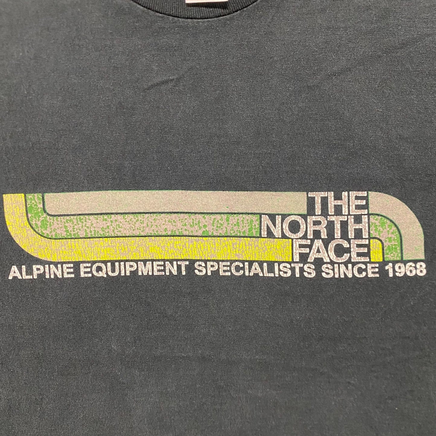 Vintage Y2K The North Face TNF Alpine Equip. Sun Faded Tee