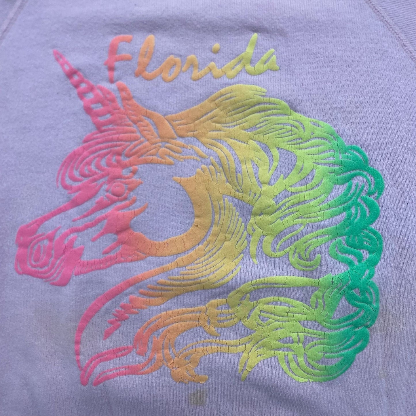 Vintage 80s Florida Rainbow Unicorn Puff Print Sweatshirt