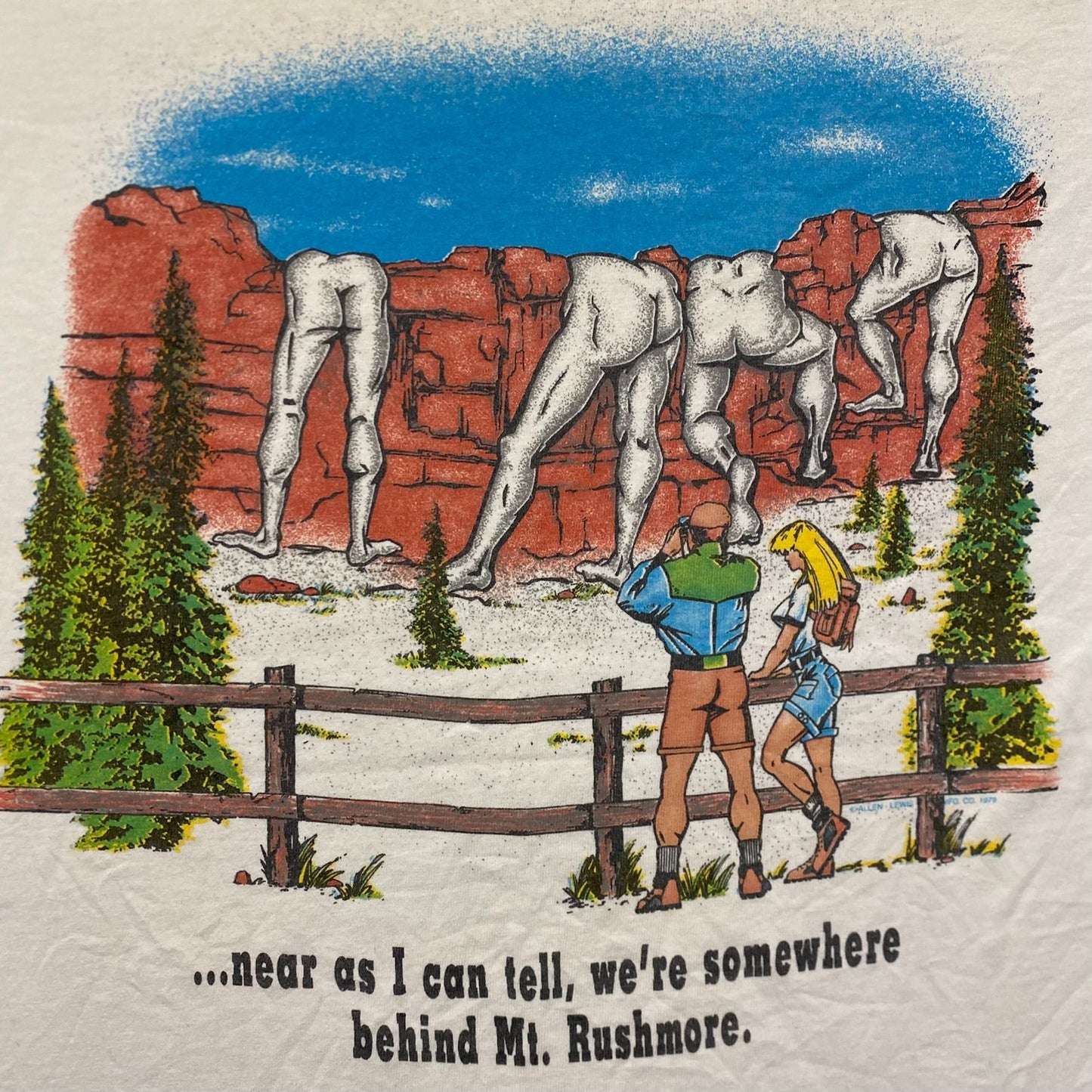 Vintage 90s Mount Rushmore Funny Tourist Humor T-Shirt