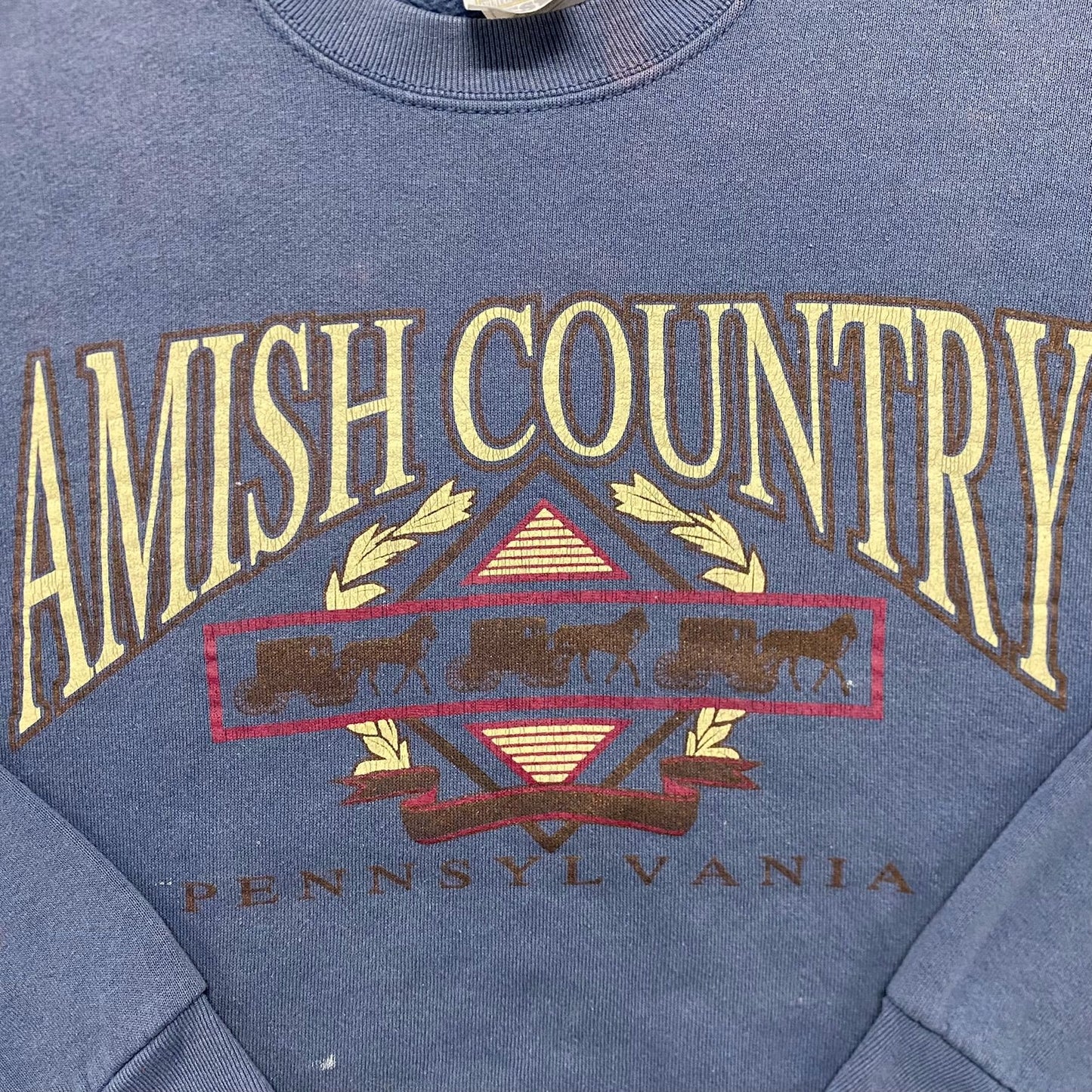 Vintage 90s Amish Country Sun Faded Crewneck Sweatshirt