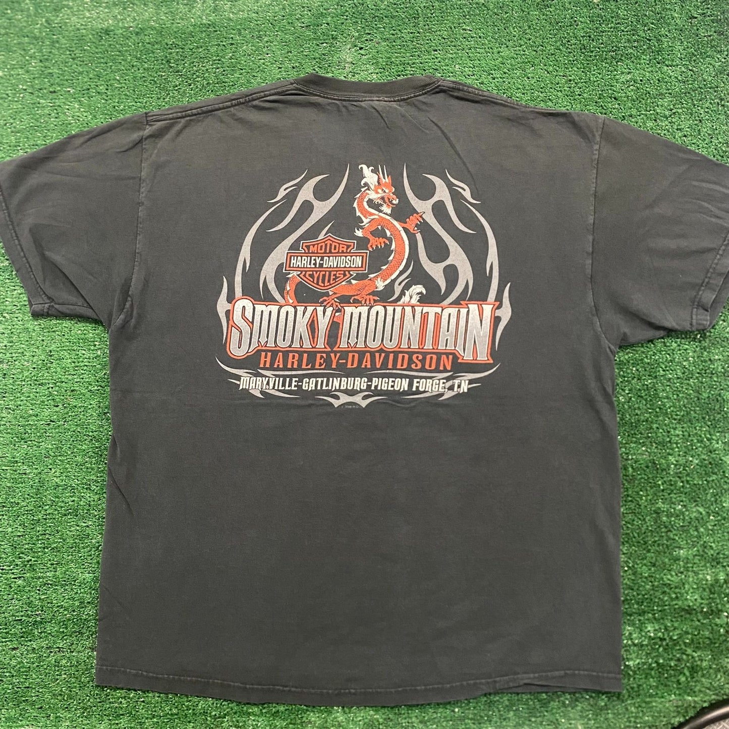 Vintage Y2K Sun Faded Harley Davidson Flame Dragon T-Shirt