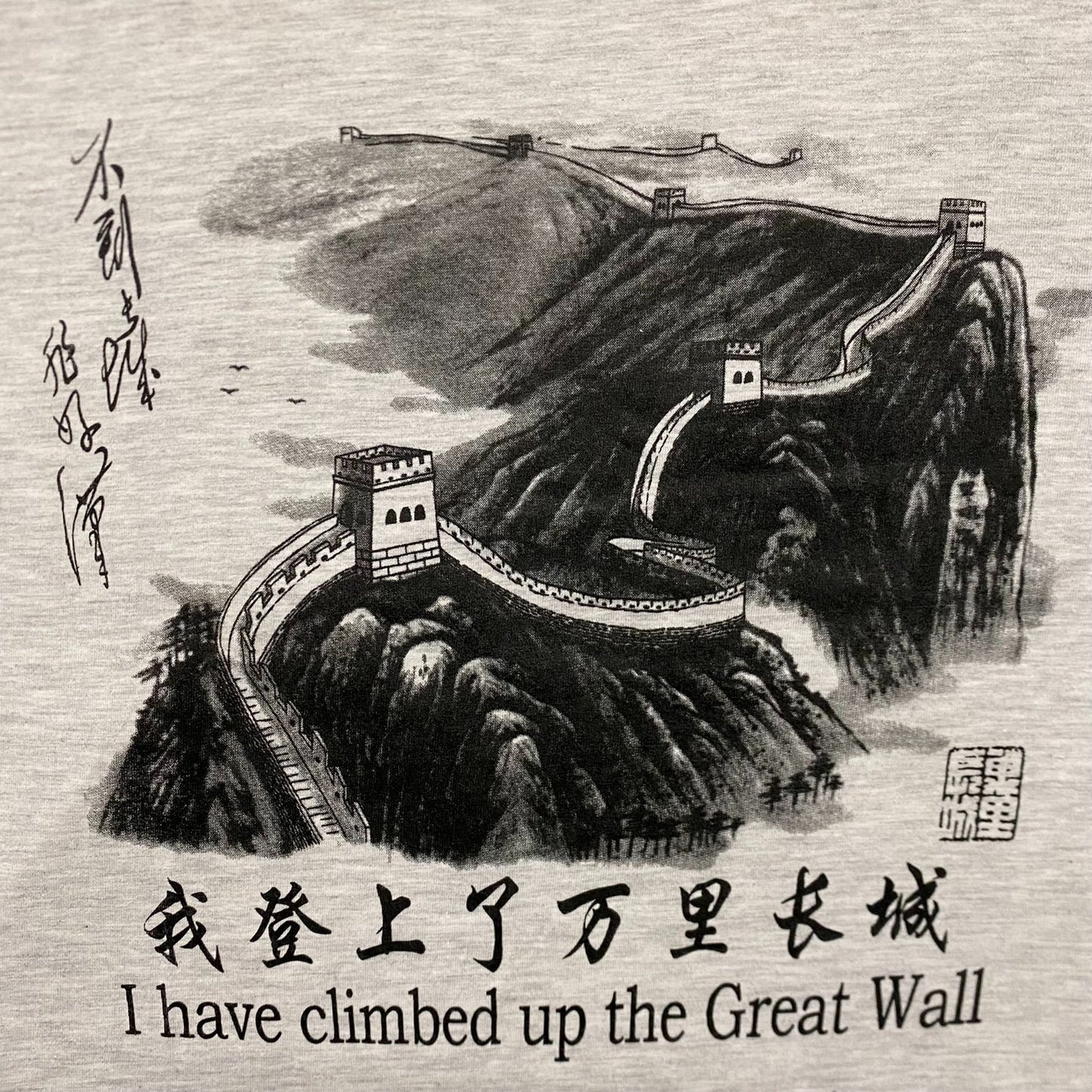 Vintage Y2K Great Wall China Dragon Tourist Destination Tee