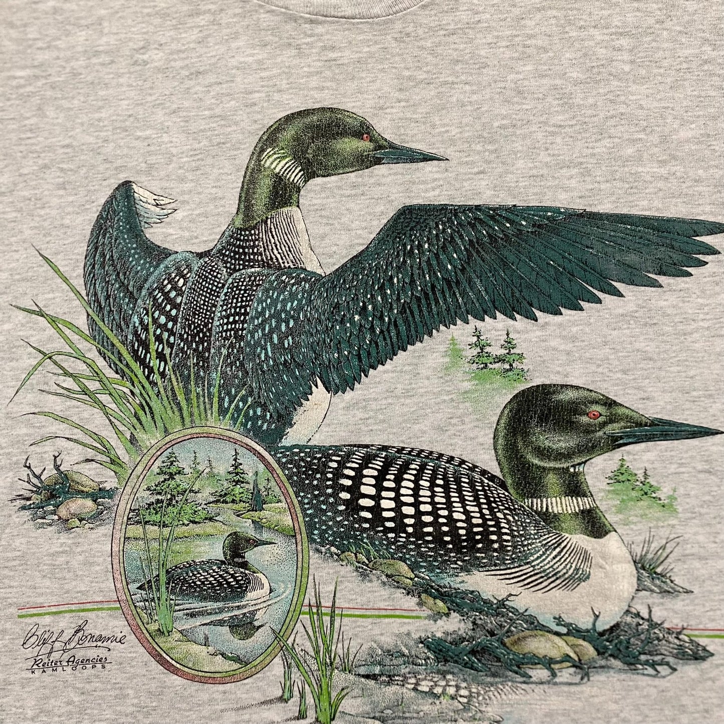 Vintage 90s Ducks Nature Animal Art Gray Single Stitch Tee