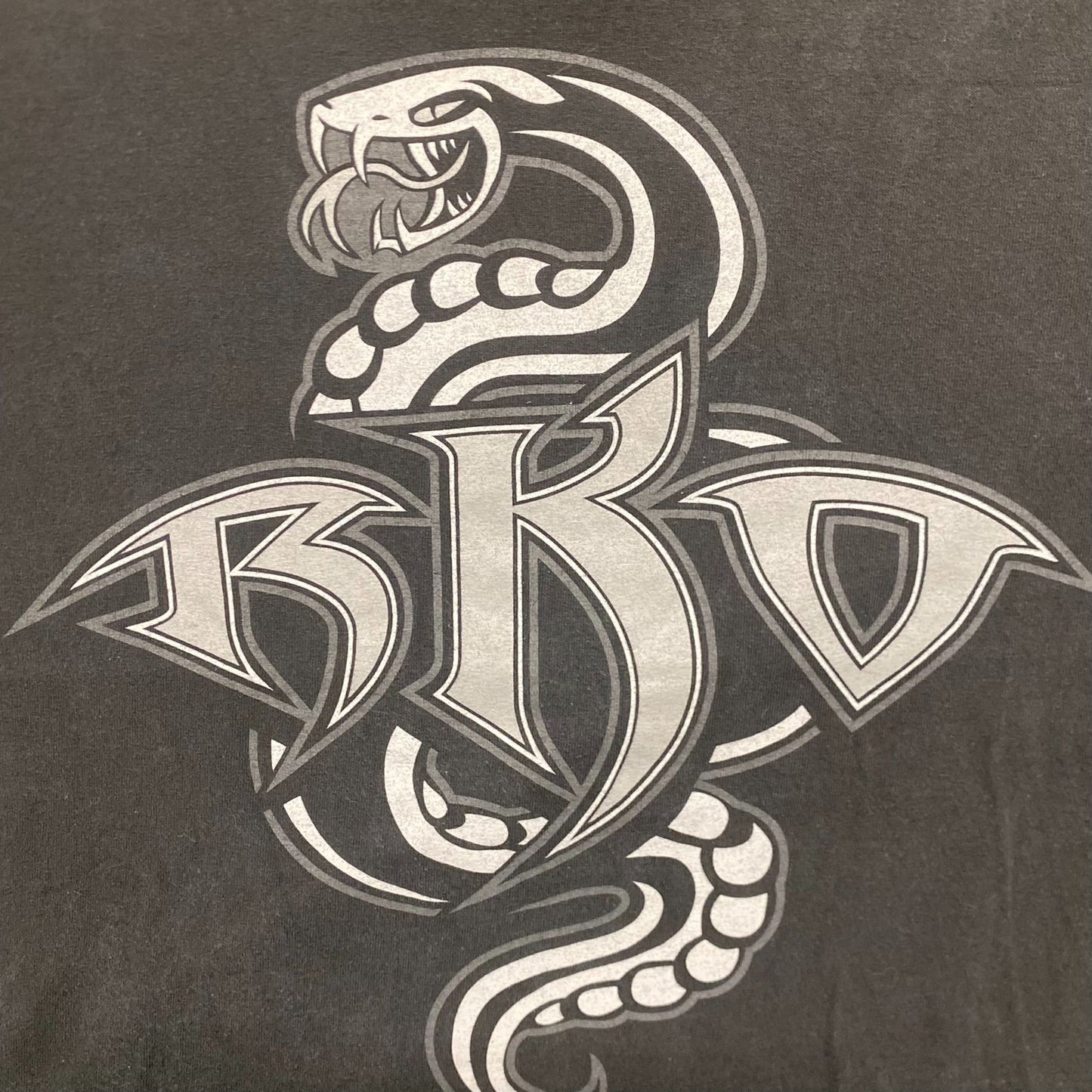 Vintage Y2K WWE RKO Randy Orton Snake Essential Wrestler Tee