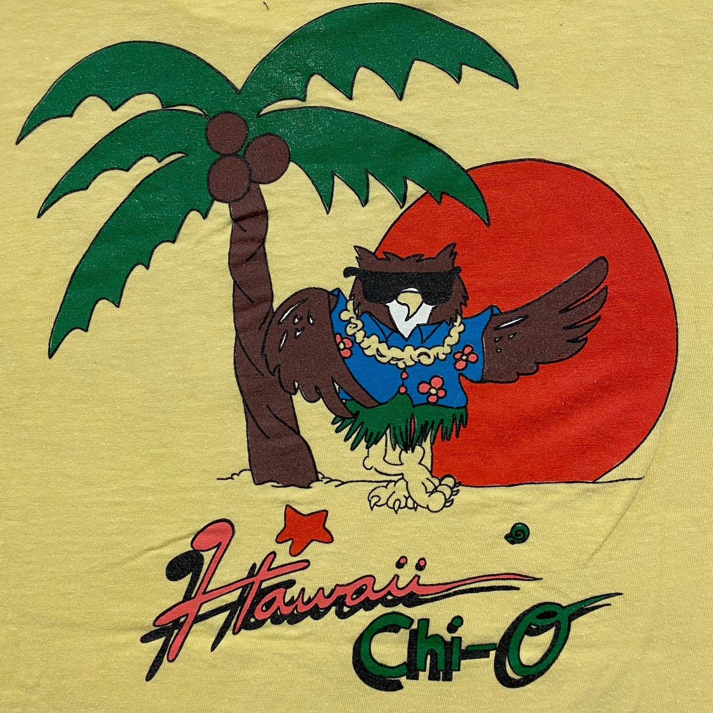 Vintage 80s Hawaii Chi-O Beach Fraternity Single Stitch Tee