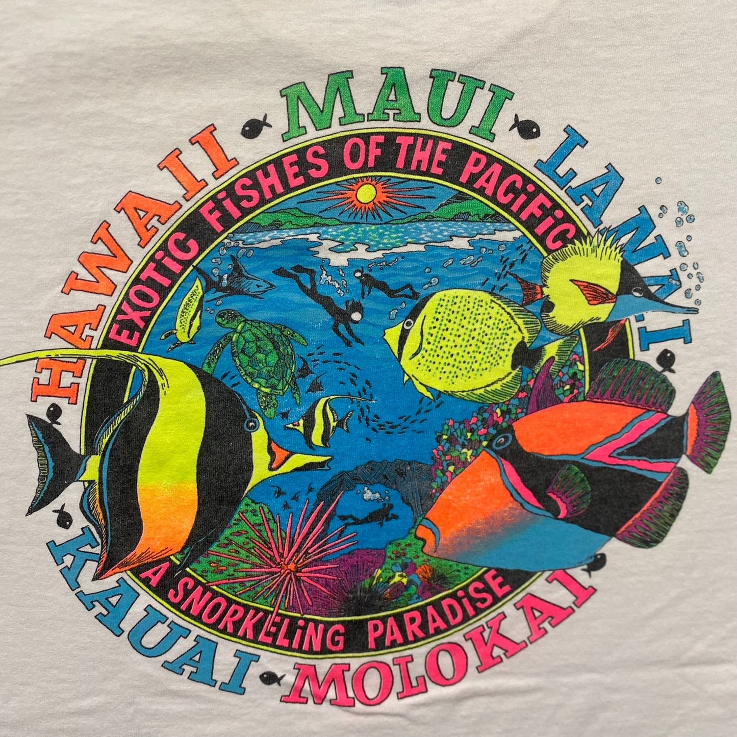 Vintage 90s Hawaii Maui Shirt Single Stitch Nature Fish Tee