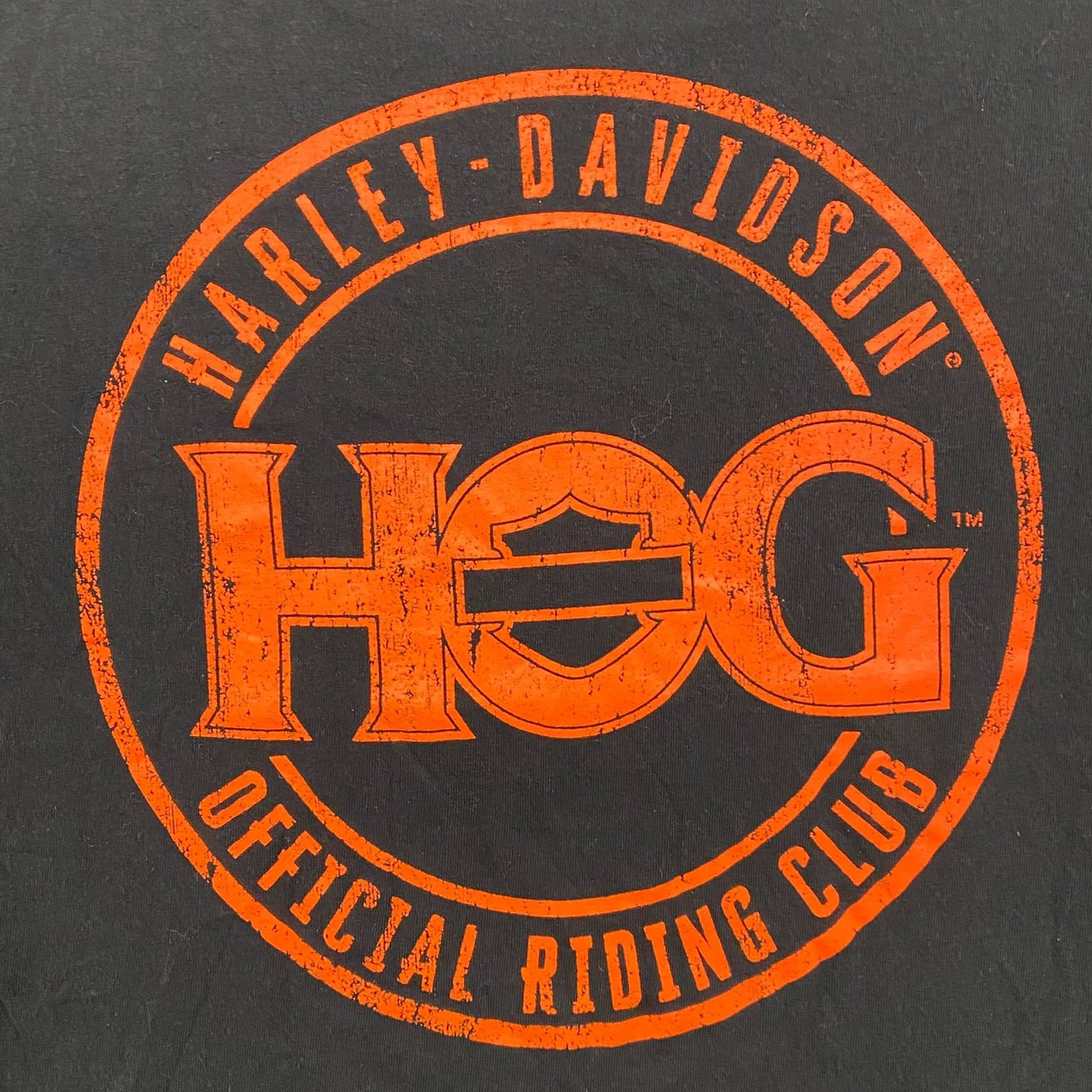 Vintage Y2K Essential Harley Davidson Eagle Biker T-Shirt