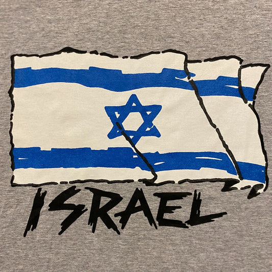 Vintage Y2K Essential Israel Flag Tourist T-Shirt