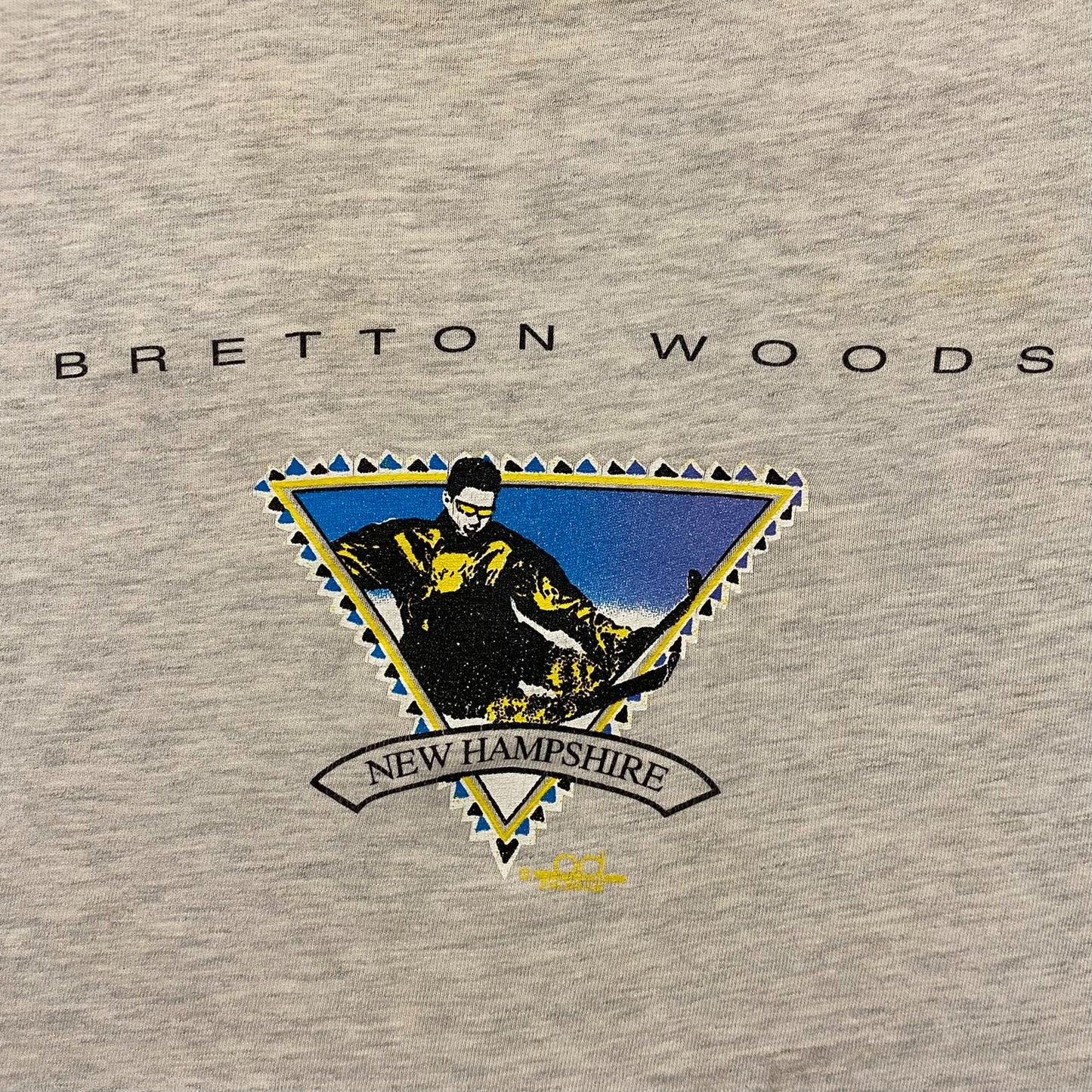 Vintage 90s Bretton Woods Skiing Tourist Single Stitch Tee