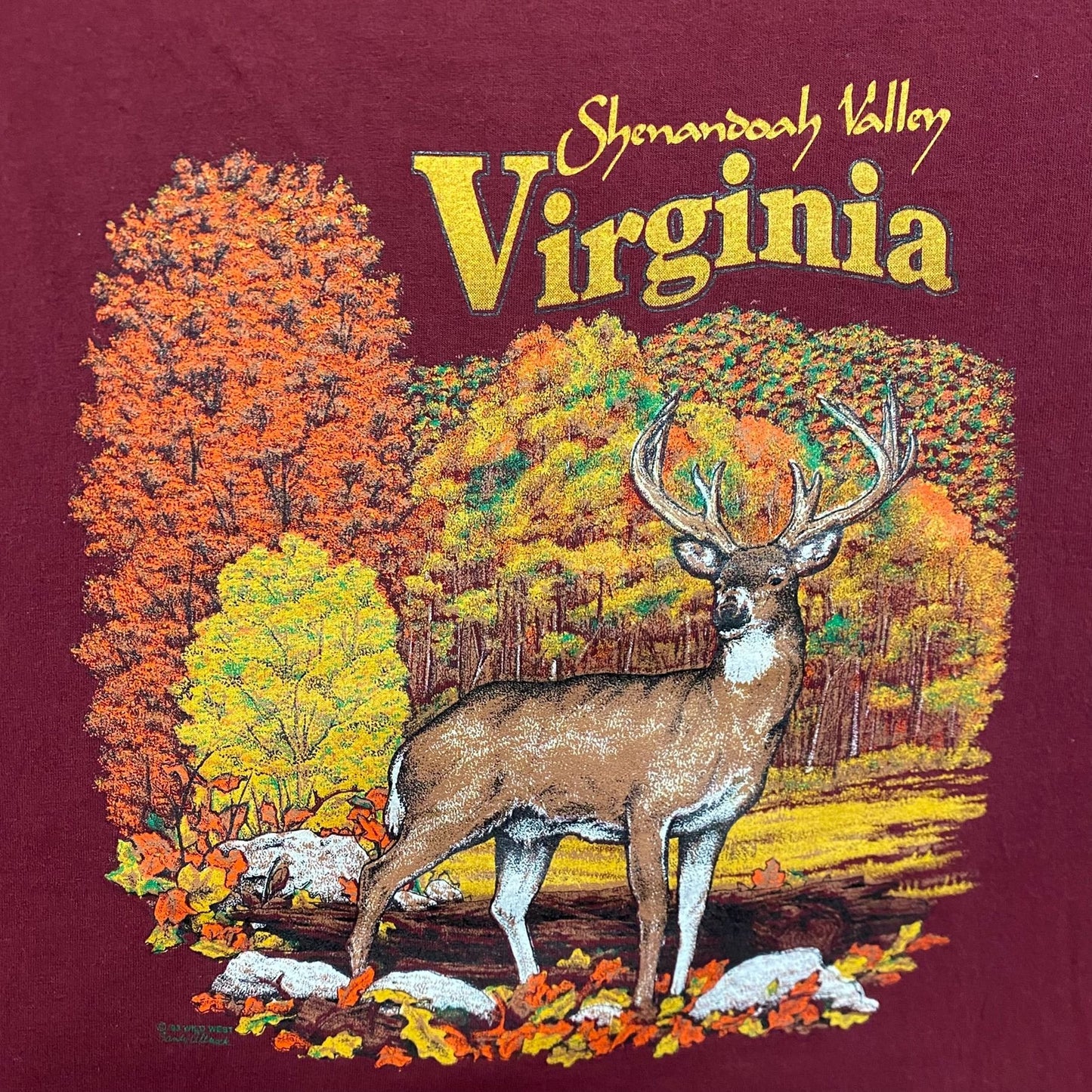 Vintage 90s Virginia Deer Nature Landscape Art Baggy Tee