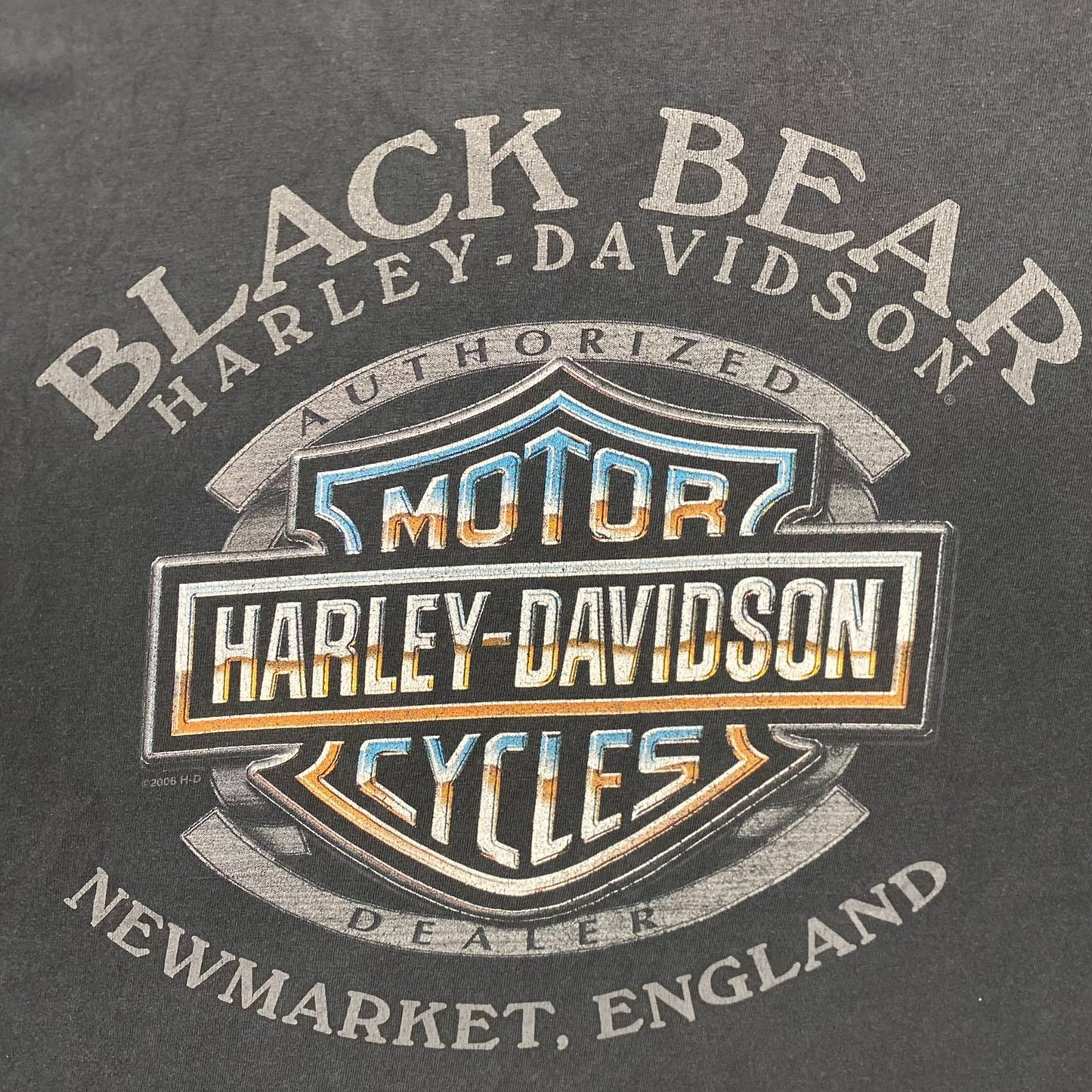 Vintage Y2K Sun Faded Harley Davidson Tribal Logo T-Shirt
