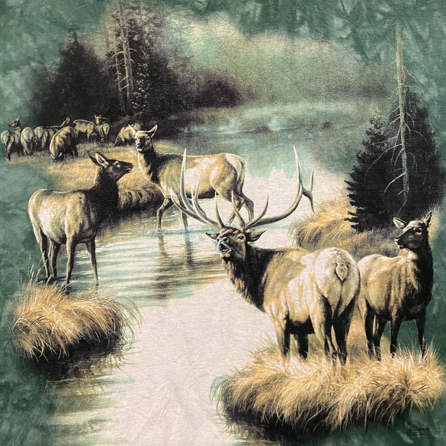 Vintage Y2K Mountain Deer Nature Art Essential Animals Tee