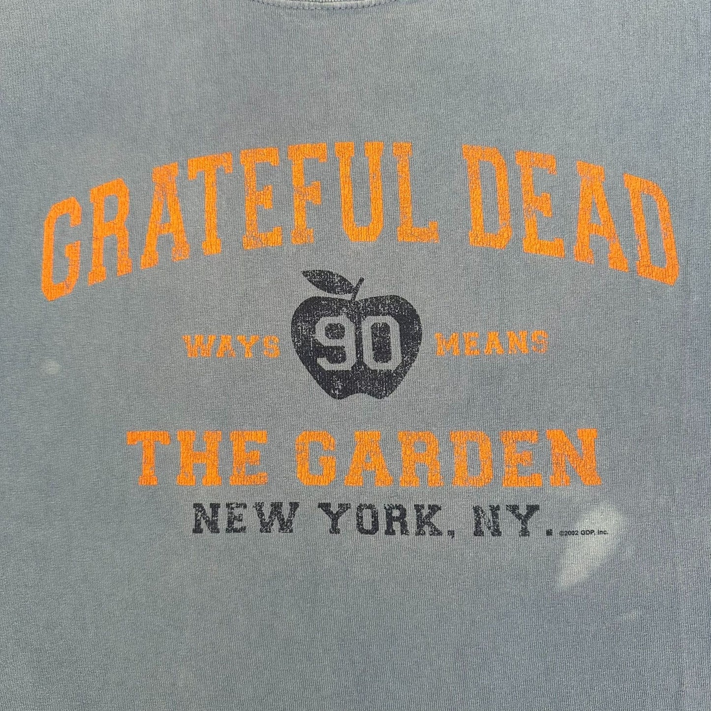 Vintage Y2K Grateful Dead The Garden NY T-Shirt Liquid Blue XL Sun Faded Hippie