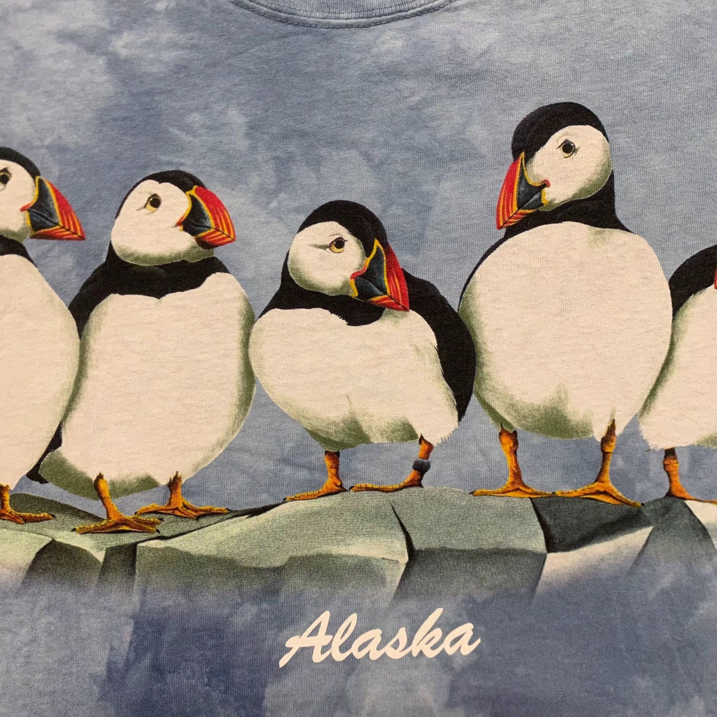 Vintage 90s Alaska Puffins Nature Art Essential Tourist Tee