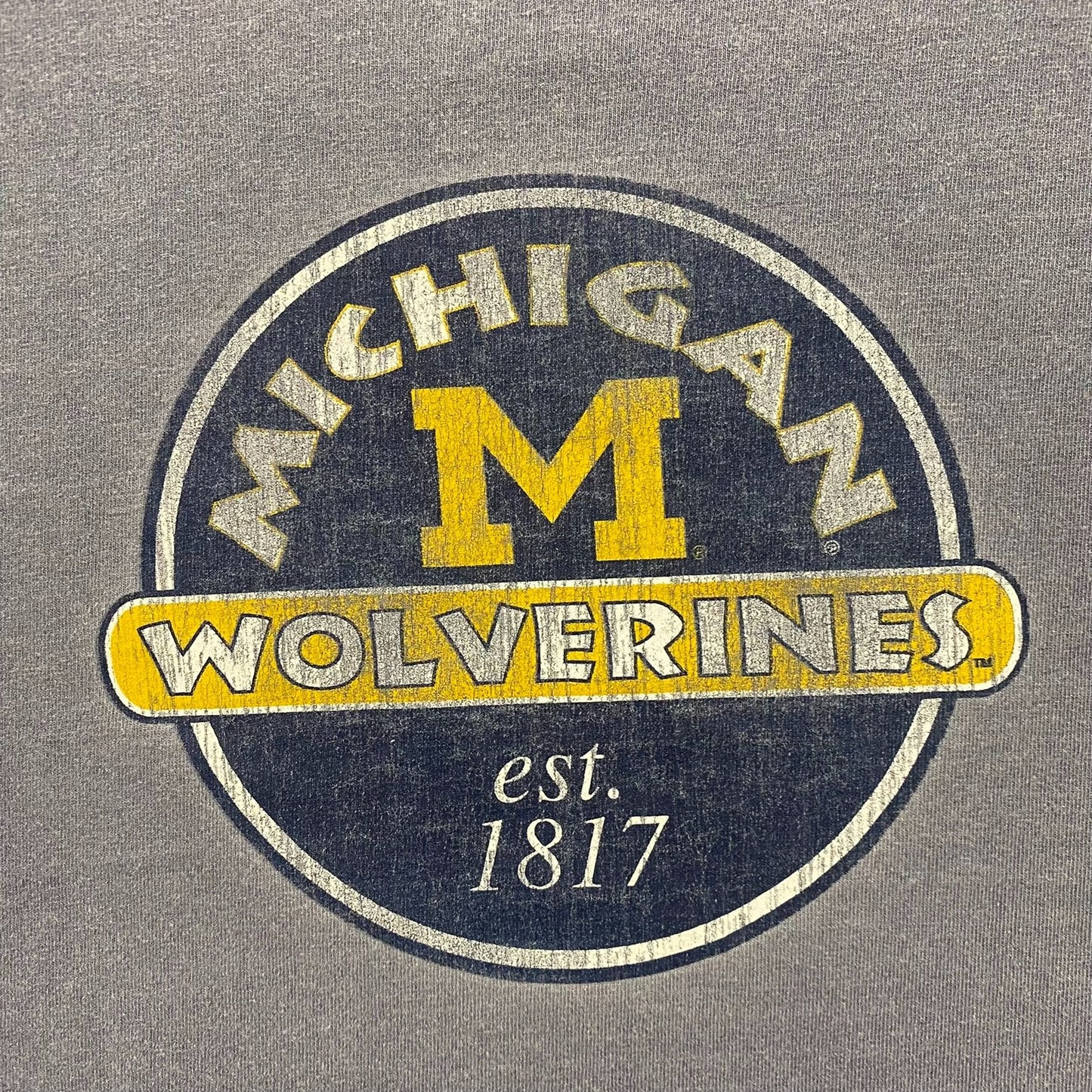 Vintage 90s Michigan Wolverines Essential College Sports Tee