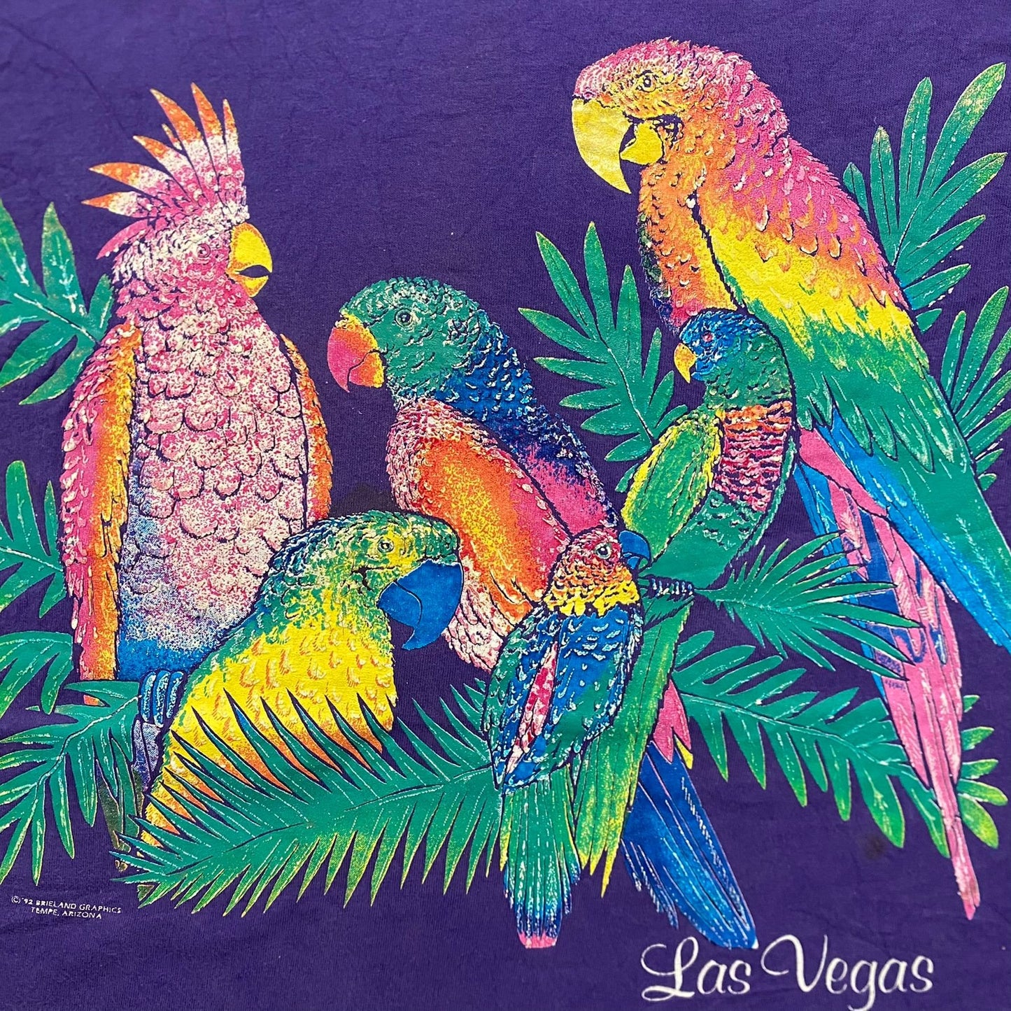 Vintage 90s Las Vegas Tropical Birds Art Single Stitch Tee