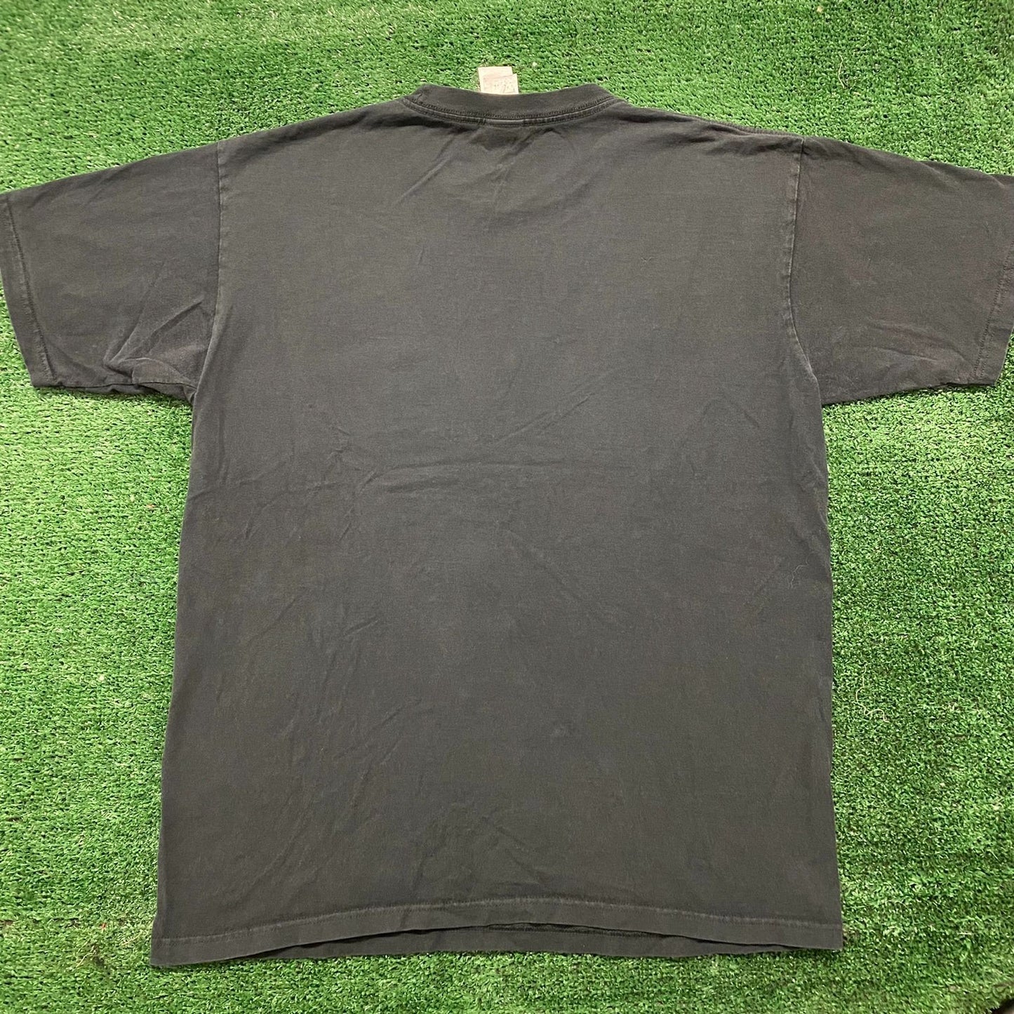 Vintage Y2K The North Face TNF Alpine Equip. Sun Faded Tee