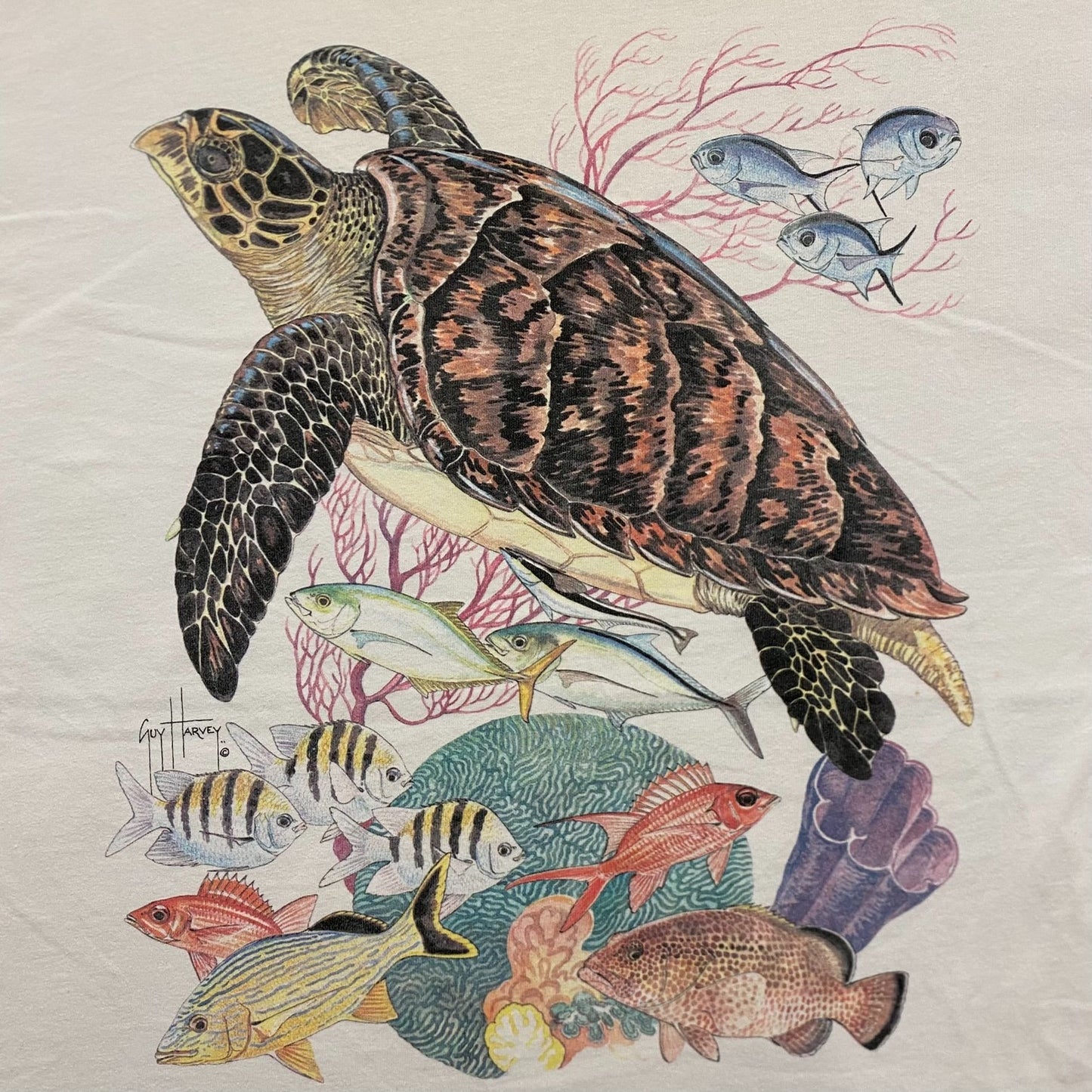 Vintage 90s Essential Guy Harvey Turtles Nature T-Shirt