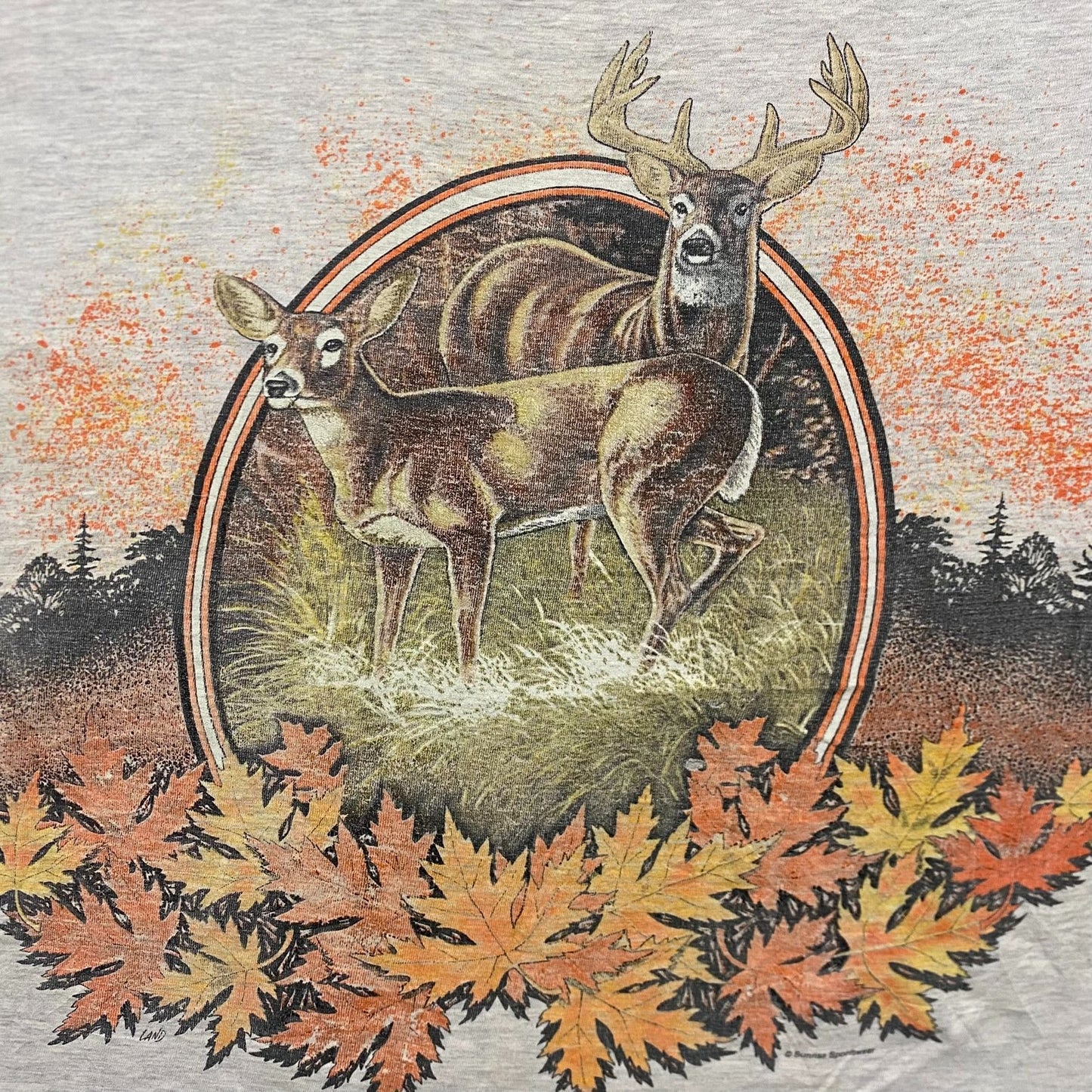 Vintage 90s Deer Autumn Nature Landscape Art Baggy Tee