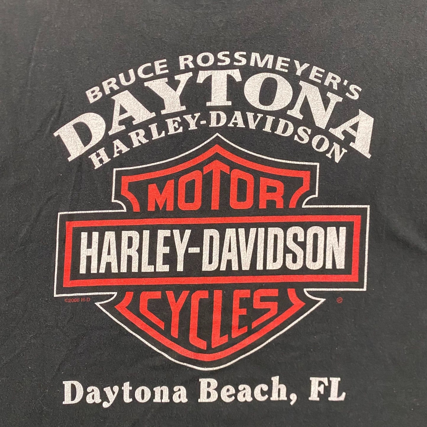 Vintage Y2K Sun Faded Harley Davidson Devil T-Shirt