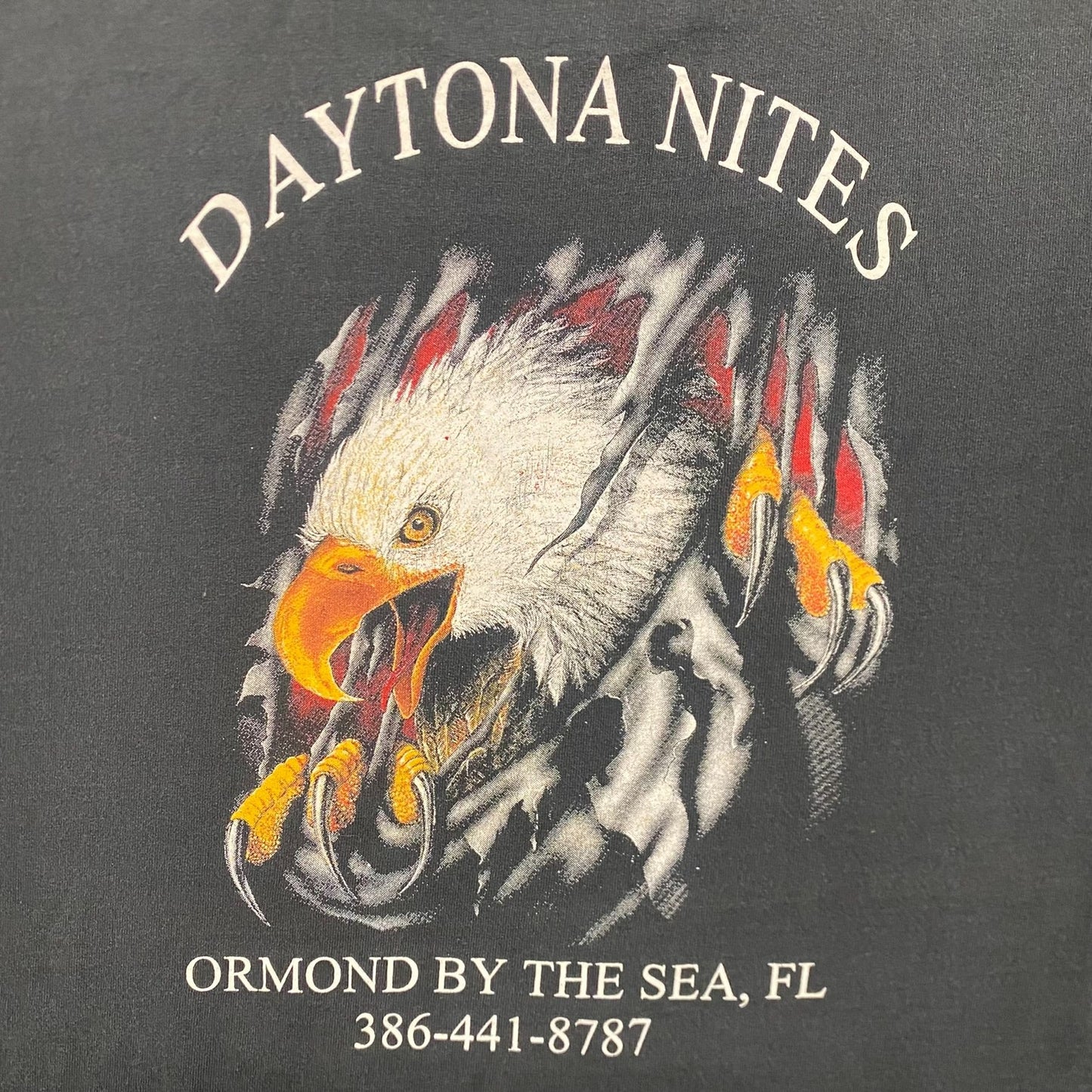 Vintage 90s Daytona Beach Flame Eagle Sun Faded Punk Tee