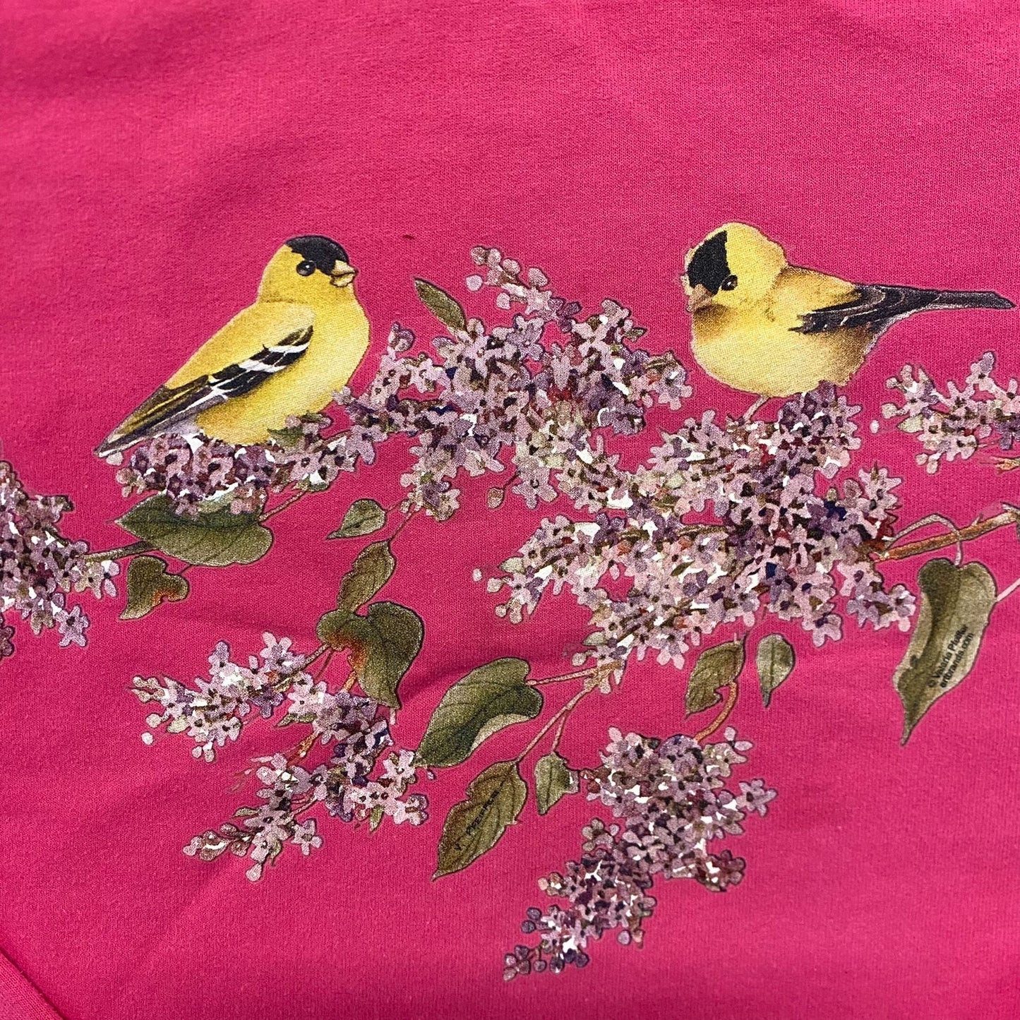 Vintage Y2K Flowers Birds Nature Art Essential Sweatshirt