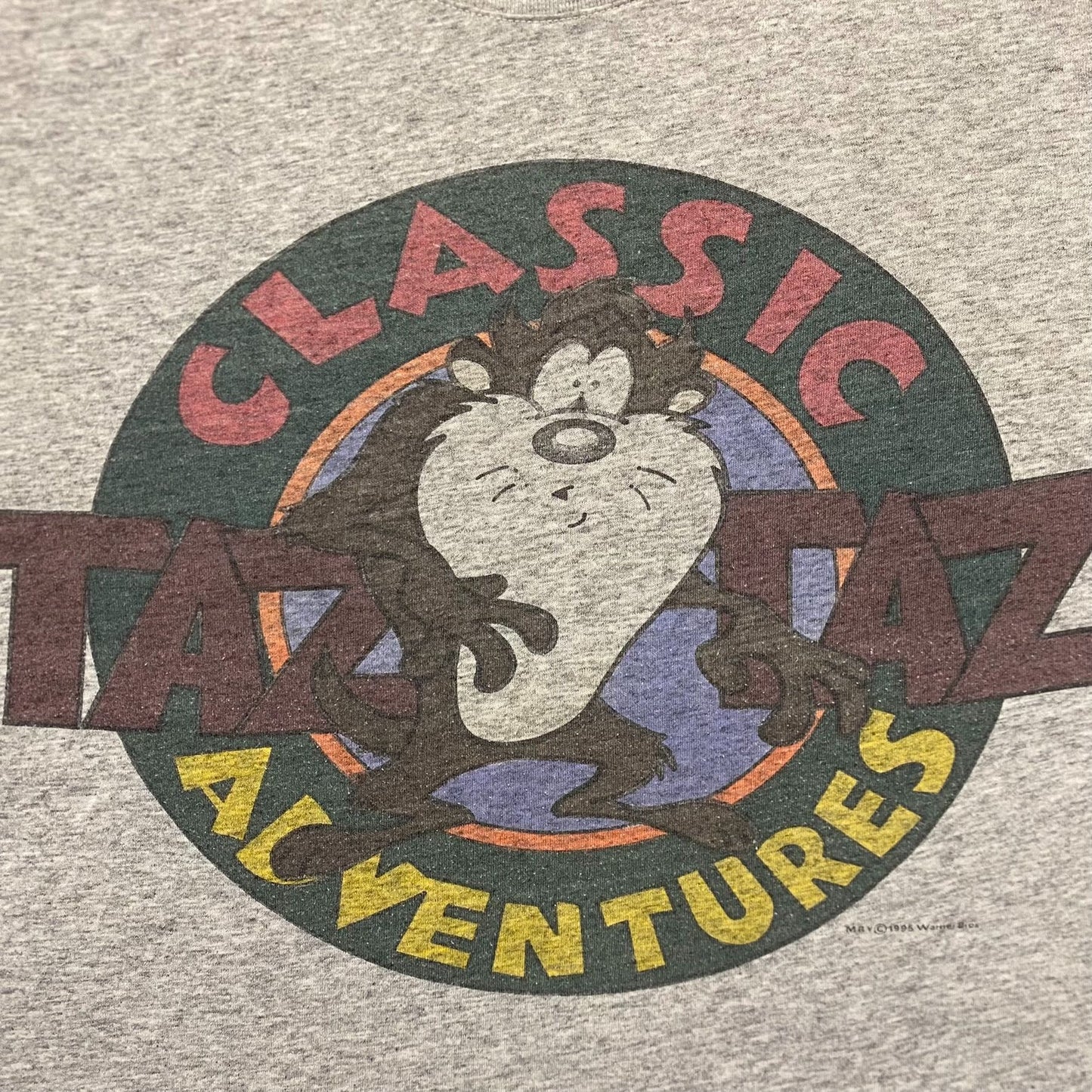 Vintage 90s Looney Tunes Taz Adventures Baggy Cartoon Tee