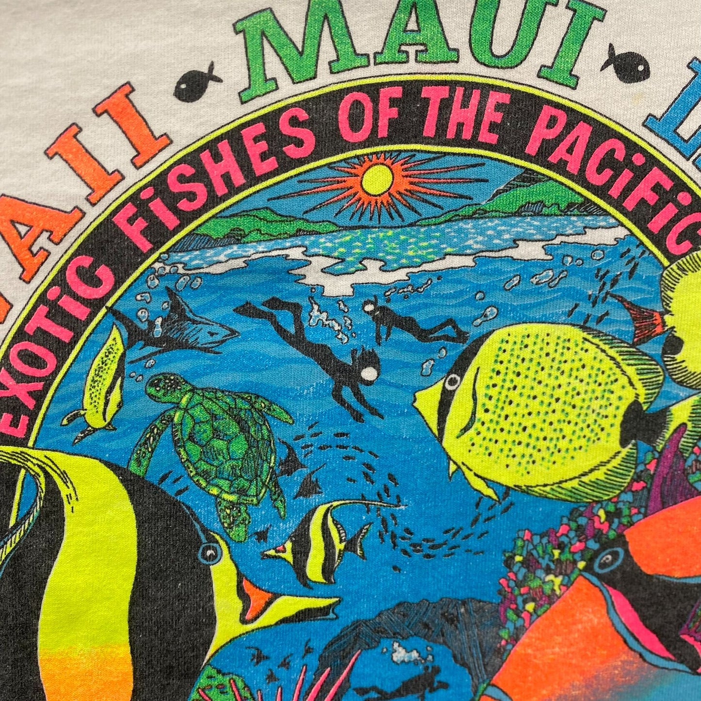 Vintage 90s Hawaii Maui Shirt Single Stitch Nature Fish Tee